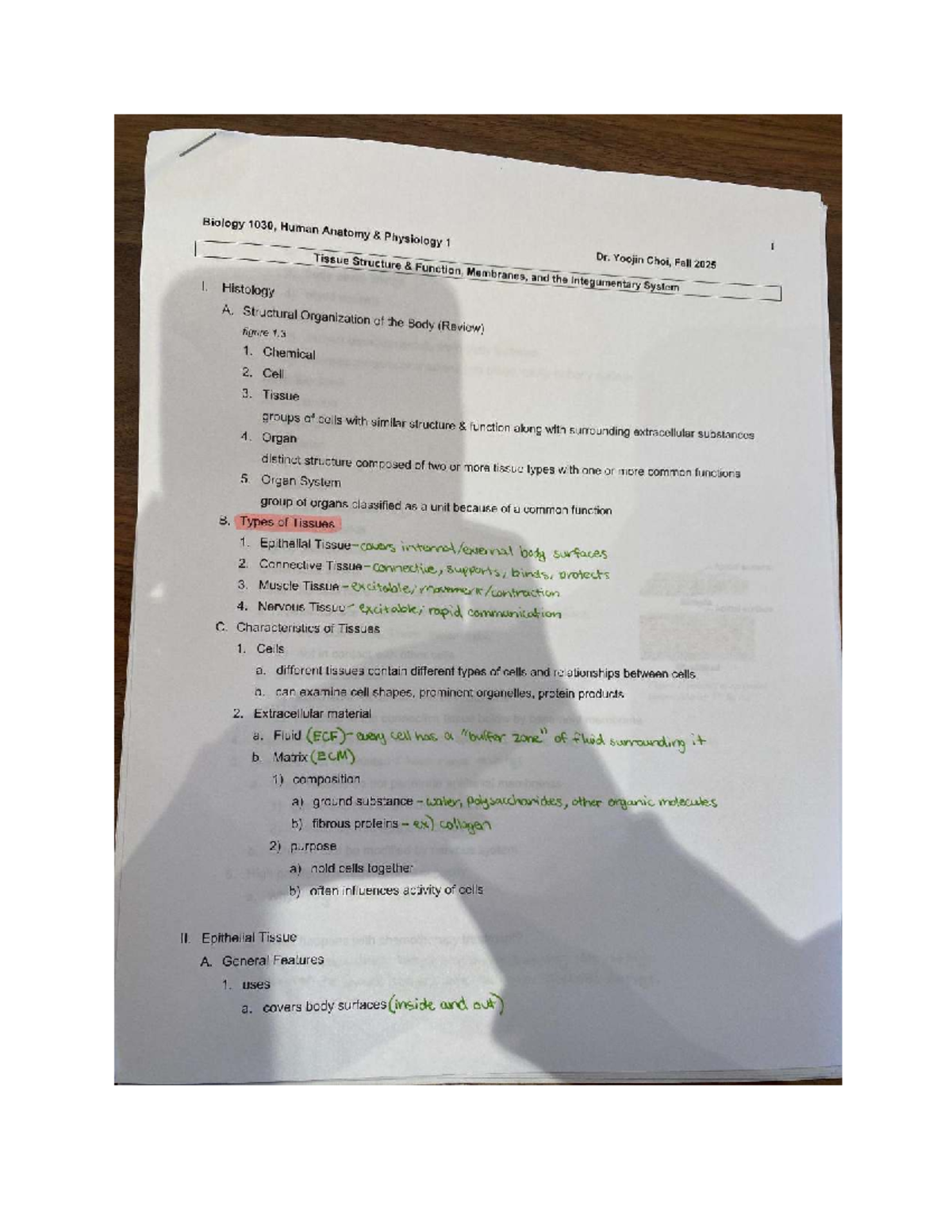 Biology 1030: Tissue Structure & Function Review Notes for Dr. Choi ...