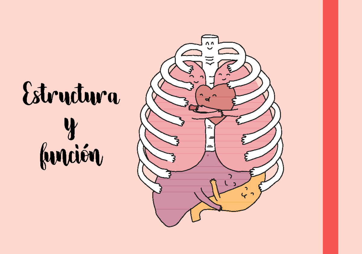 Resumen de Estructura y Función del Cuerpo Humano - UCLM 2023 - Document Preview