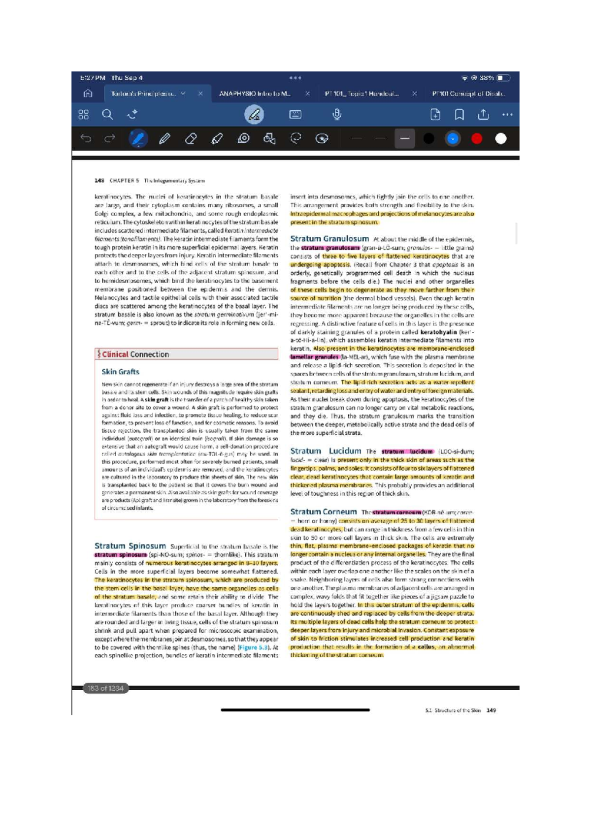 PT 101: Chapter 5 - The Integumentary System Overview and Key Concepts ...