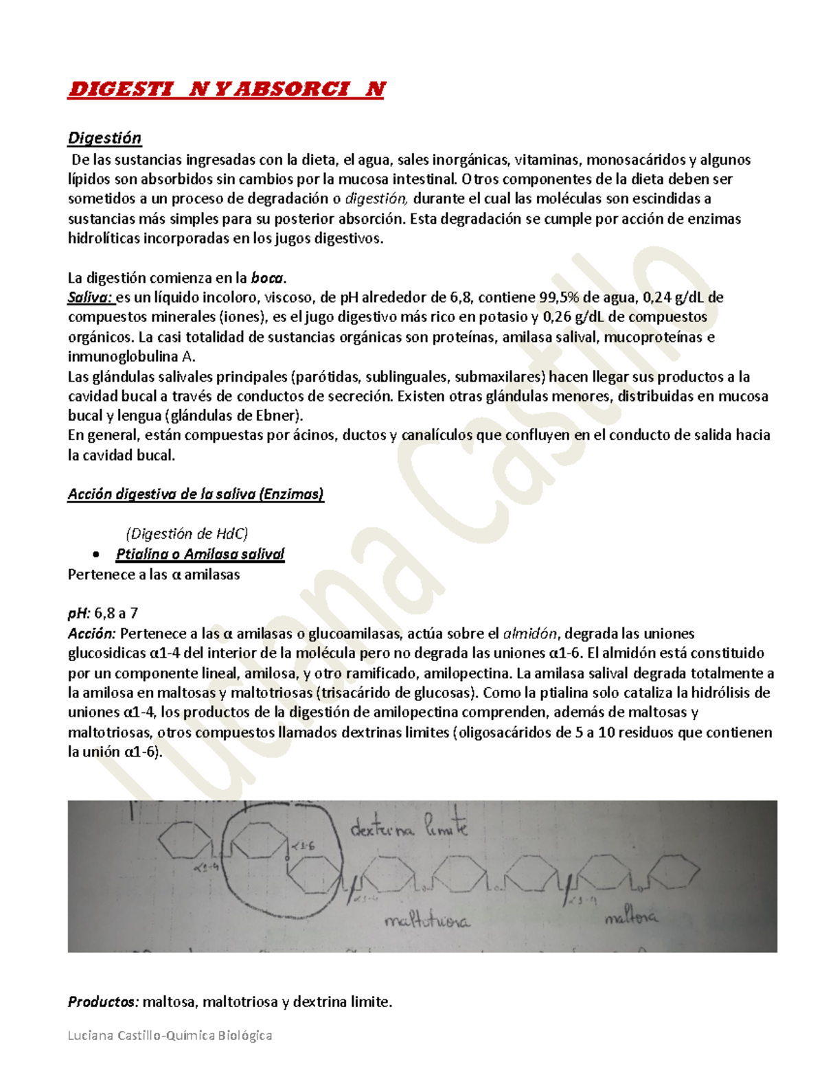 Digestión y Absorción de Nutrientes - Química Biológica - Document Preview