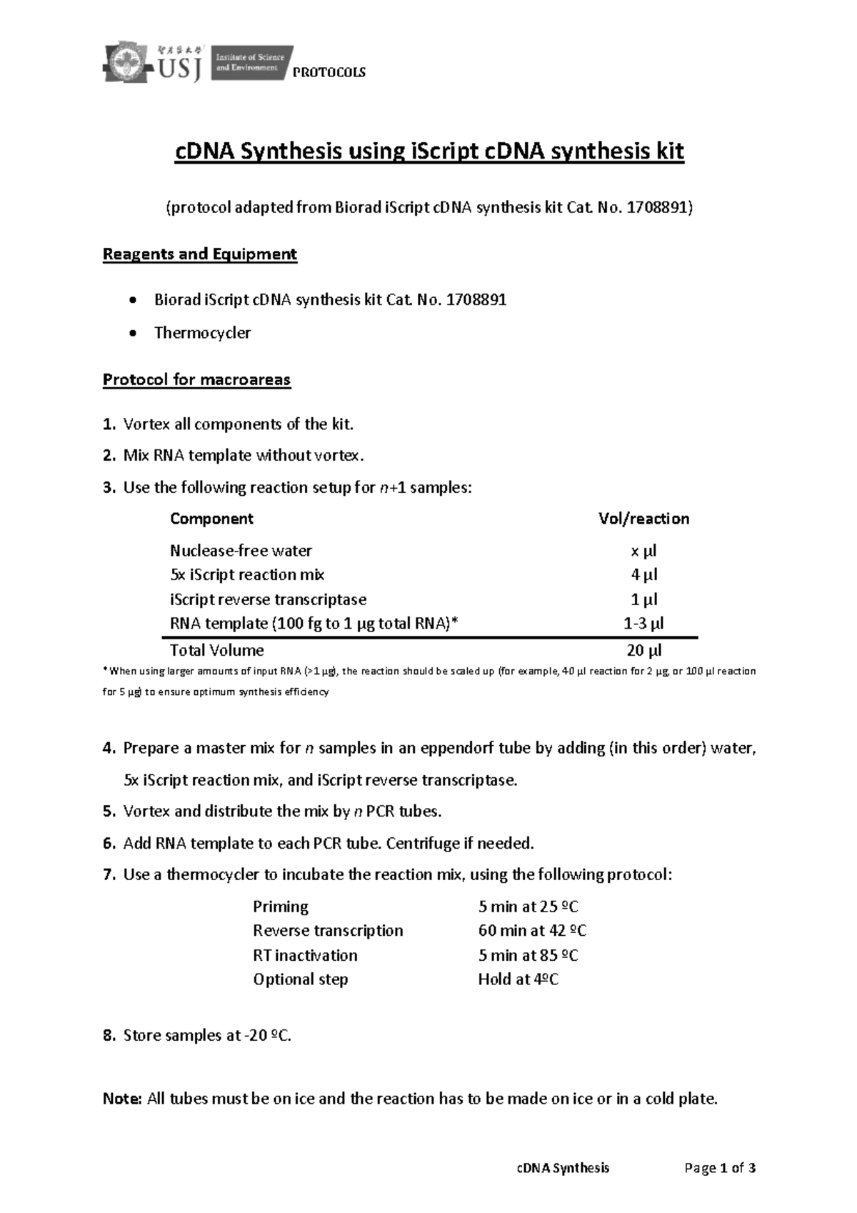 cDNA Synthesis Protocols (Course Code: BIO101) - Studocu