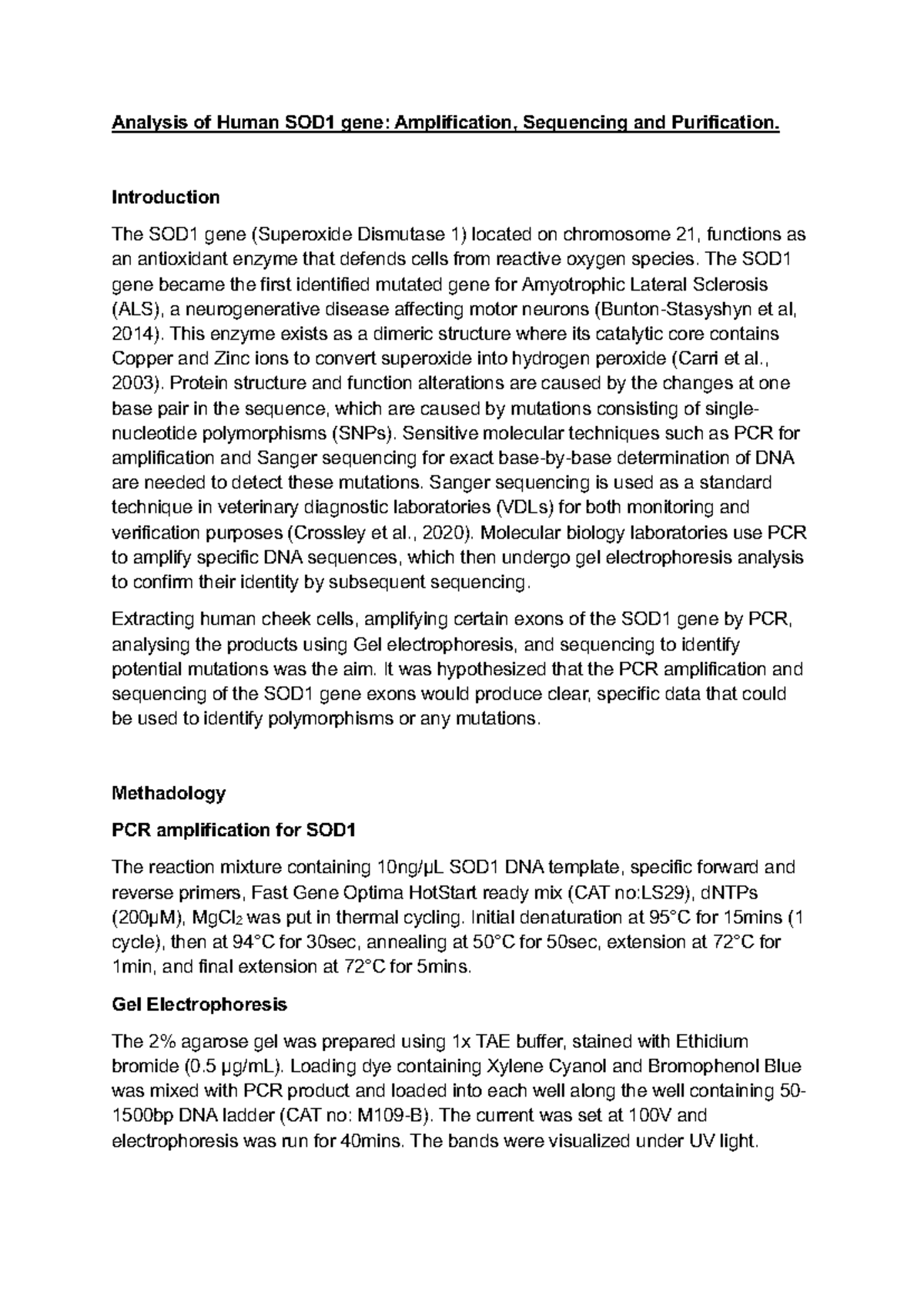 Lab Report 2: SOD1 Gene Amplification, Sequencing & Purification ...