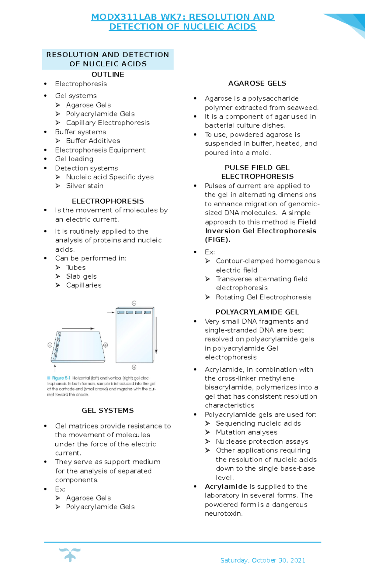 MOLECULAR DIAGNOSTICS LABORATORY - DETECTION OF NUCLEIC ACIDS ...