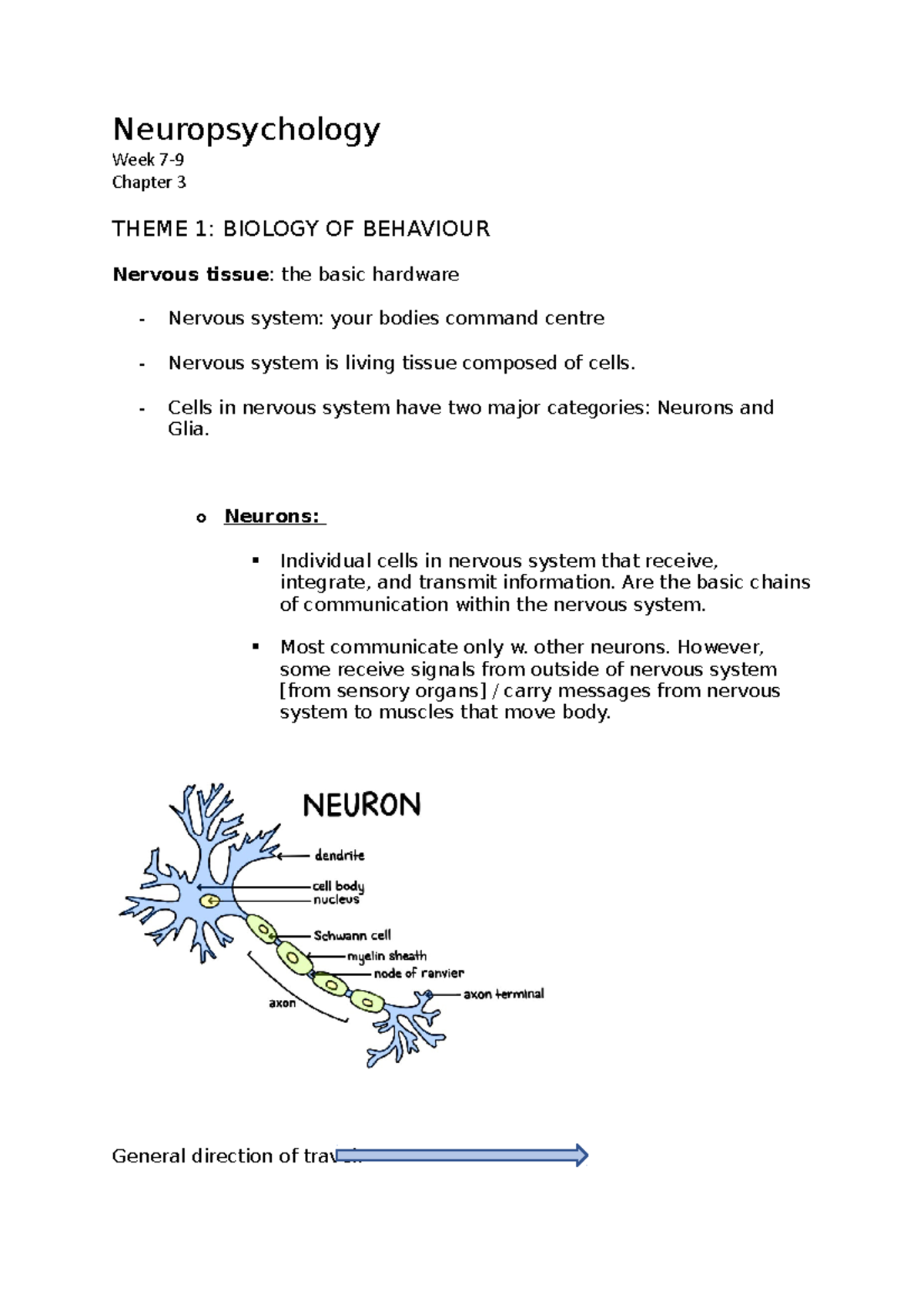 Neuropsychology (PSYC 301) Lecture Notes: Biology of Behaviour & Brain ...