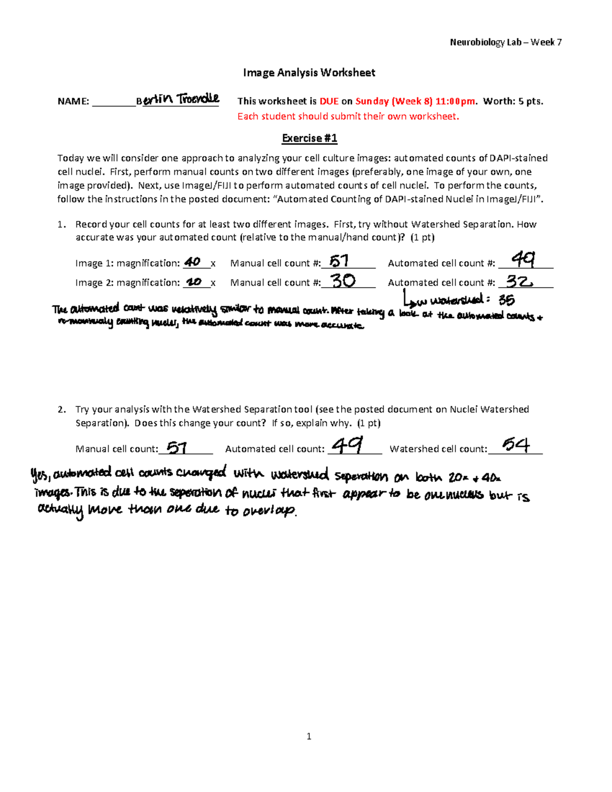 Image Analysis worksheet 2024 - Neurobiology Lab – Week 7 1 Image ...