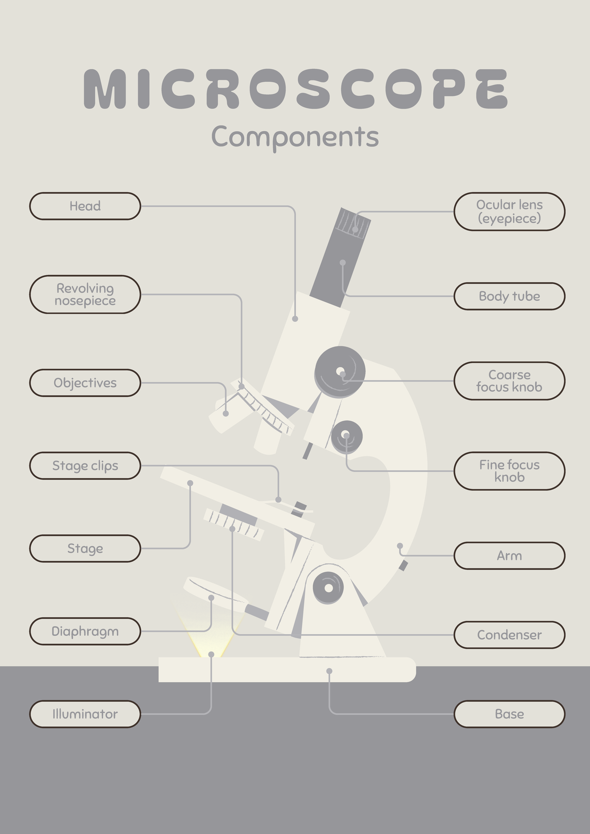 Histology MODULE 1 - Ocular lens (eyepiece) Body tube Revolving ...