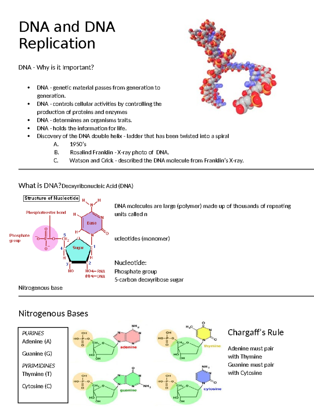 DNA & Replication: Key Concepts & Detailed Notes for Study - Studocu