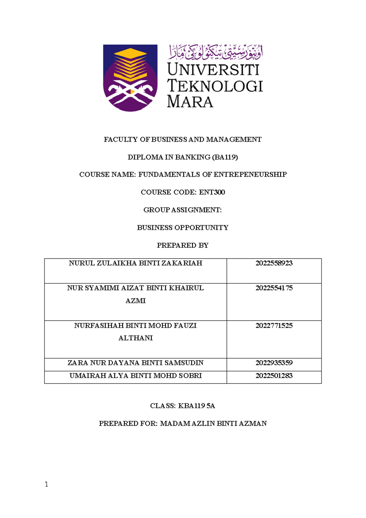 ENT300 Group Assignment: Business Opportunity Analysis and Insights ...