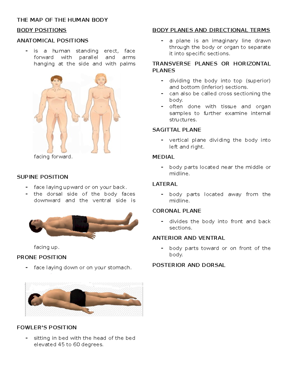 Anatomy & Physiology Review: Essential Body Structures & Functions ...