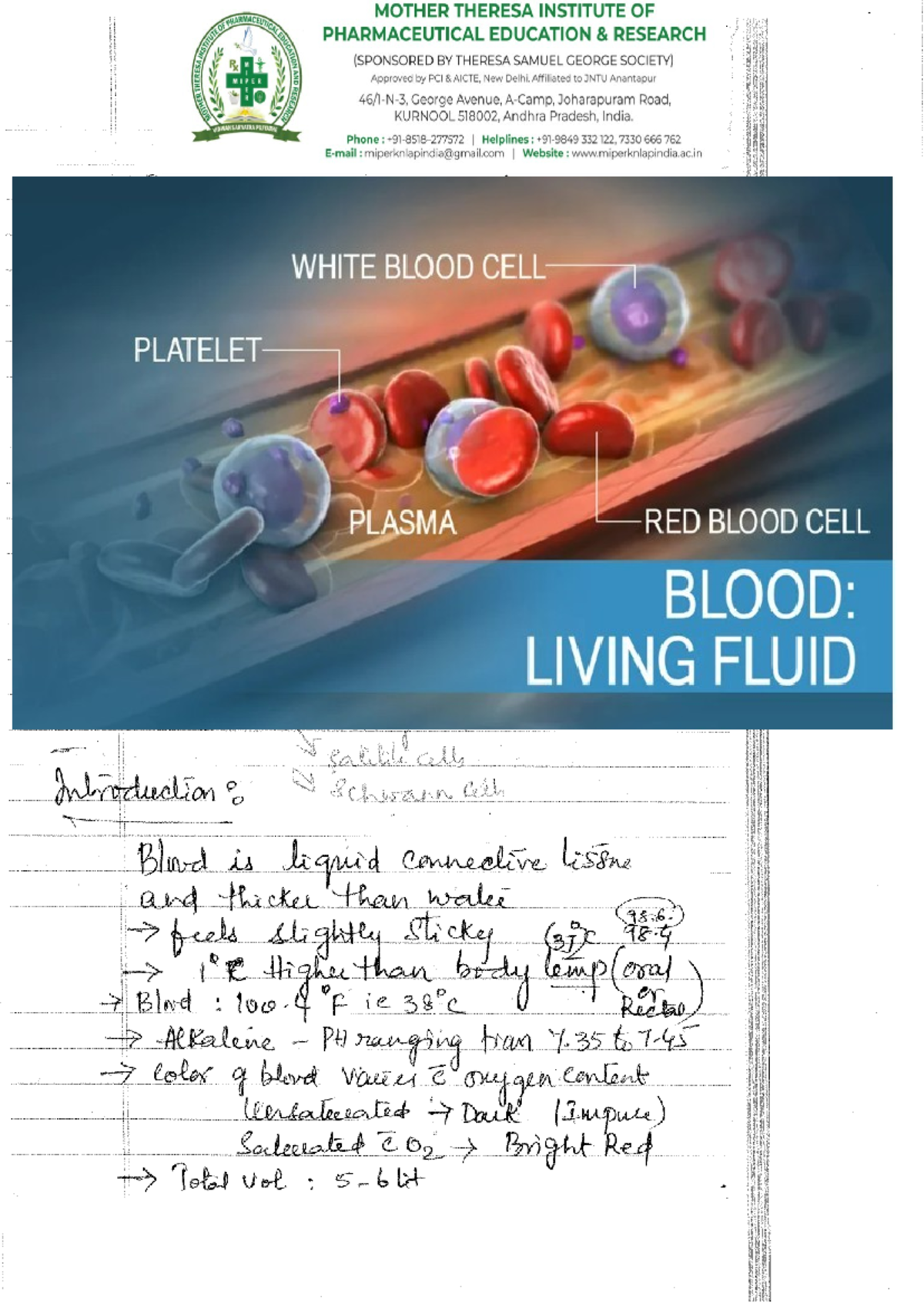 Blood Composition & RBC: A Study in Haematology - Studocu