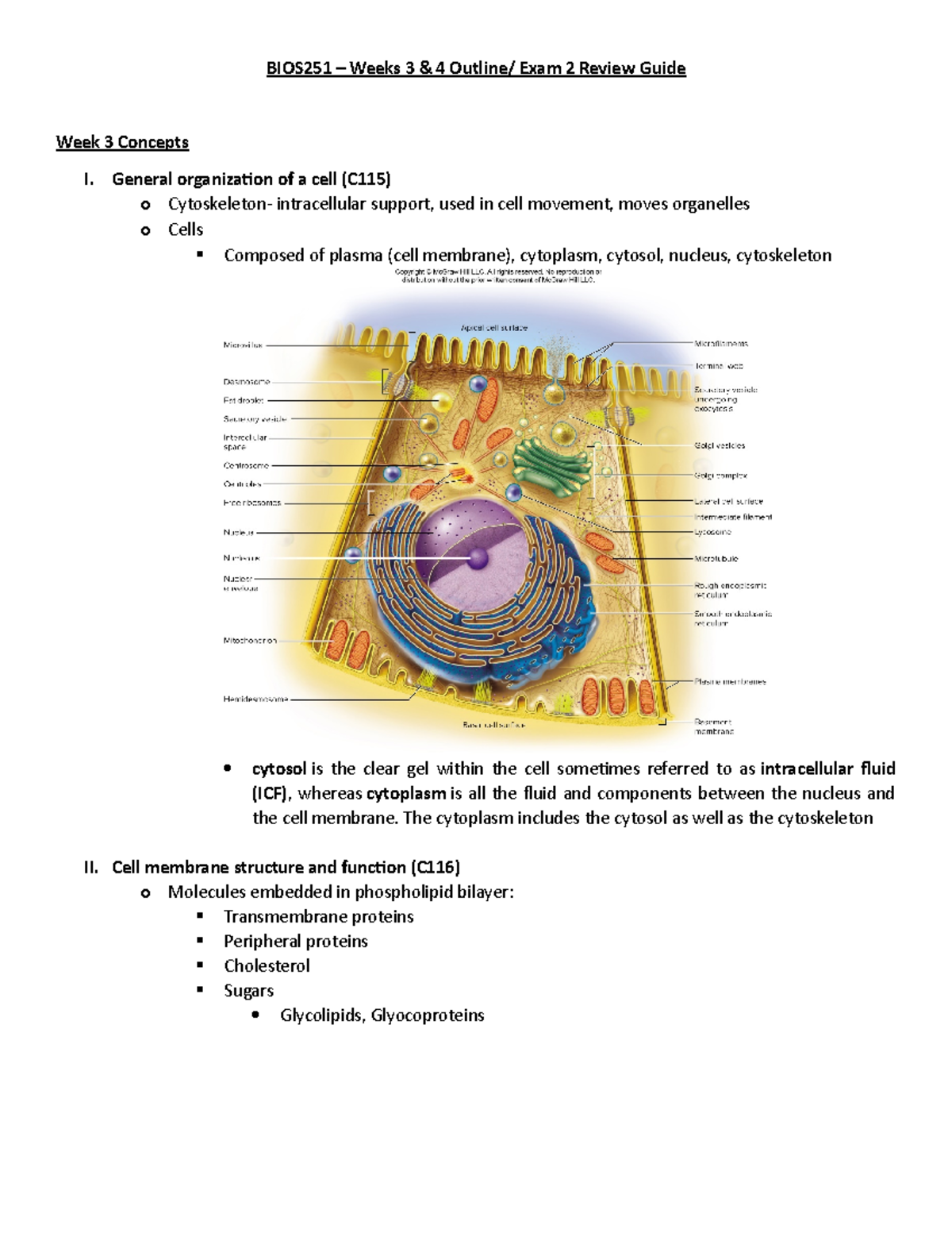 BIOS251 Exam 2 Comprehensive Study Guide and Concept Review - Studocu