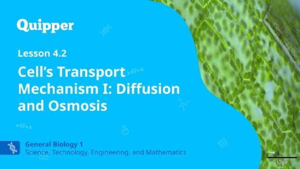 General Biology 1: Lesson 4.2 - Transport Mechanisms: Diffusion & Osmosis - Document Preview
