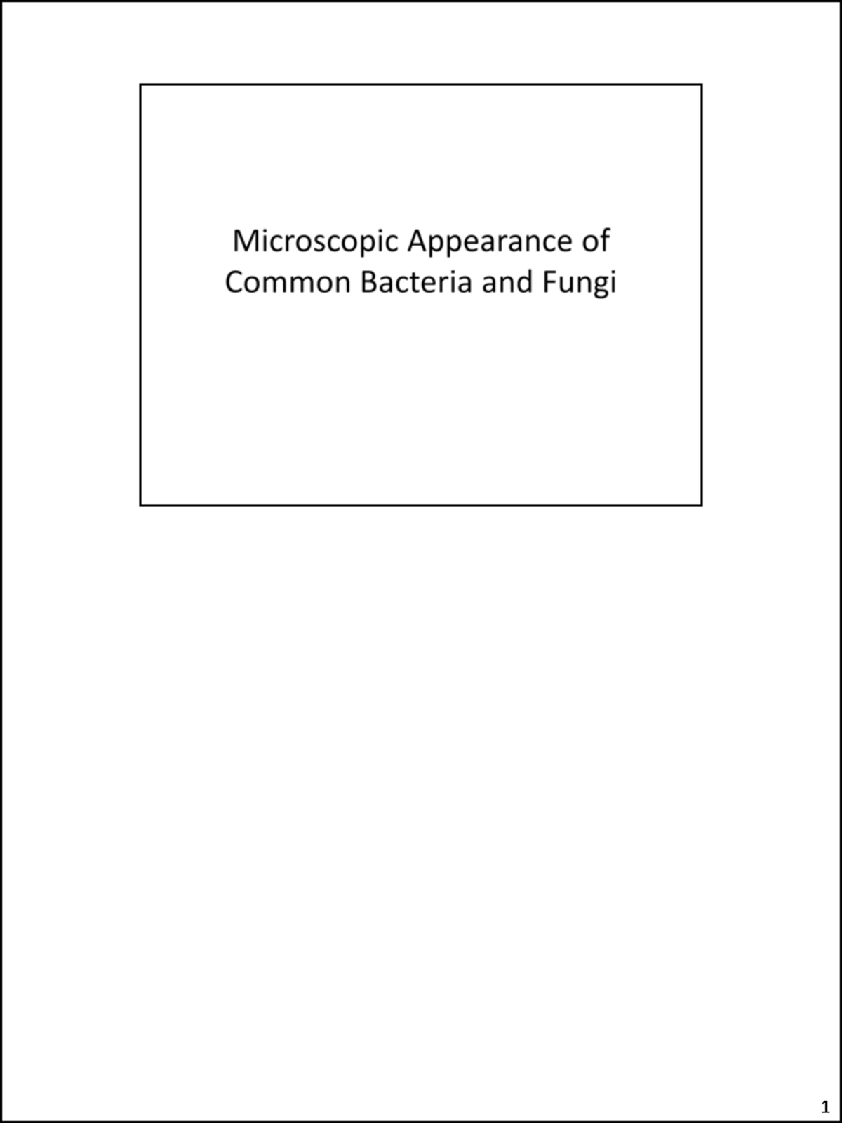 Microscopic Appearance of Bacteria & Fungi (Bio 101 Lecture Notes ...