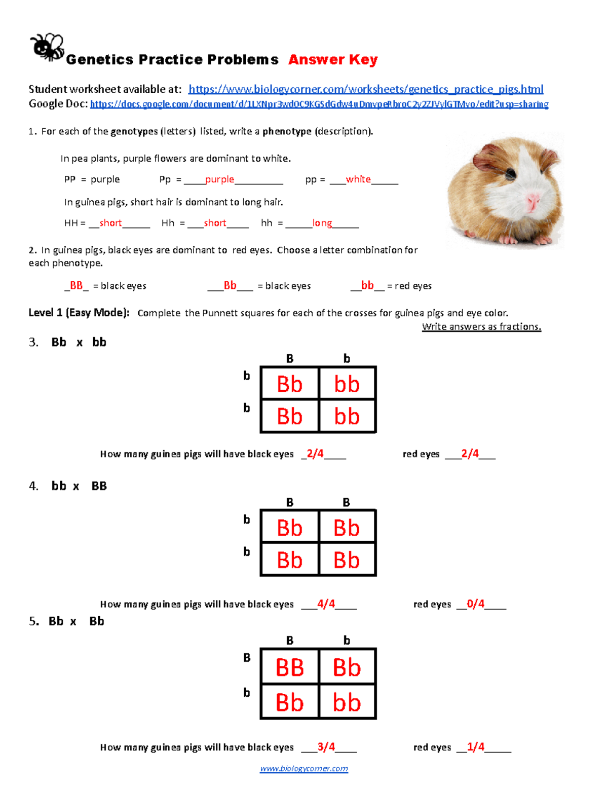 Genetics Practice Problems Answer Key (Genetics 101) - Studocu