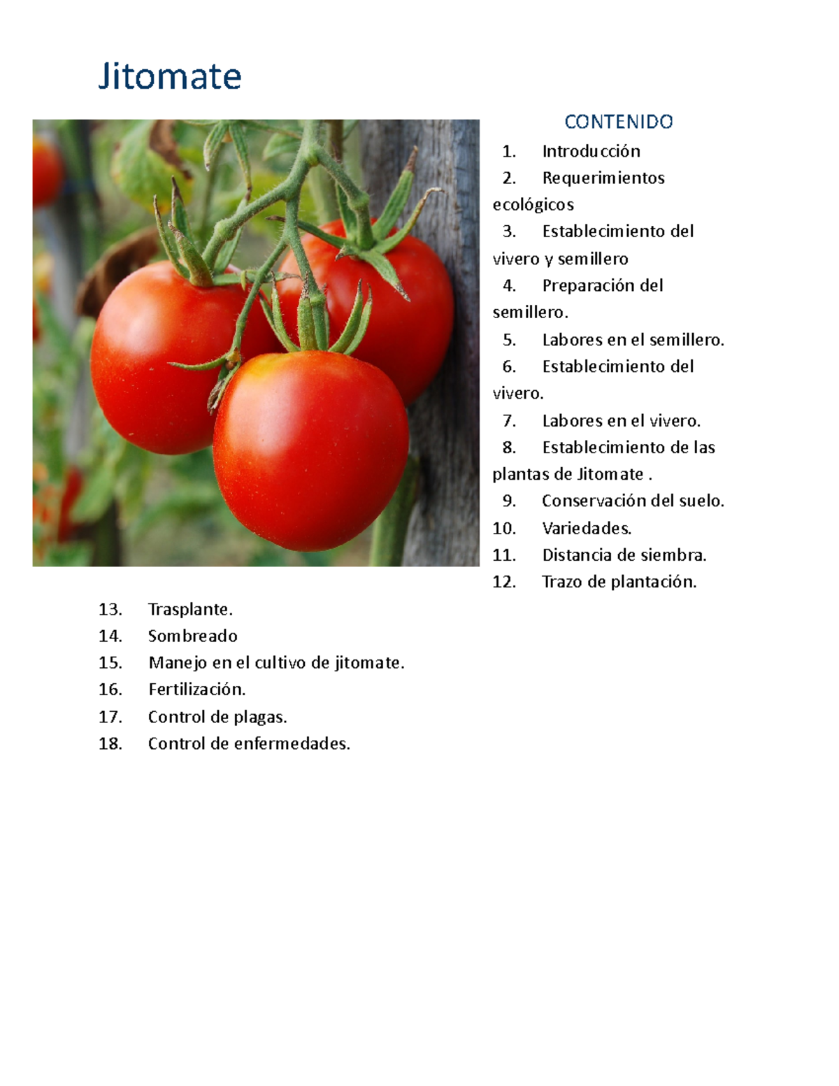 Guía Completa para el Cultivo de Jitomate 4B: Métodos y Variedades ...