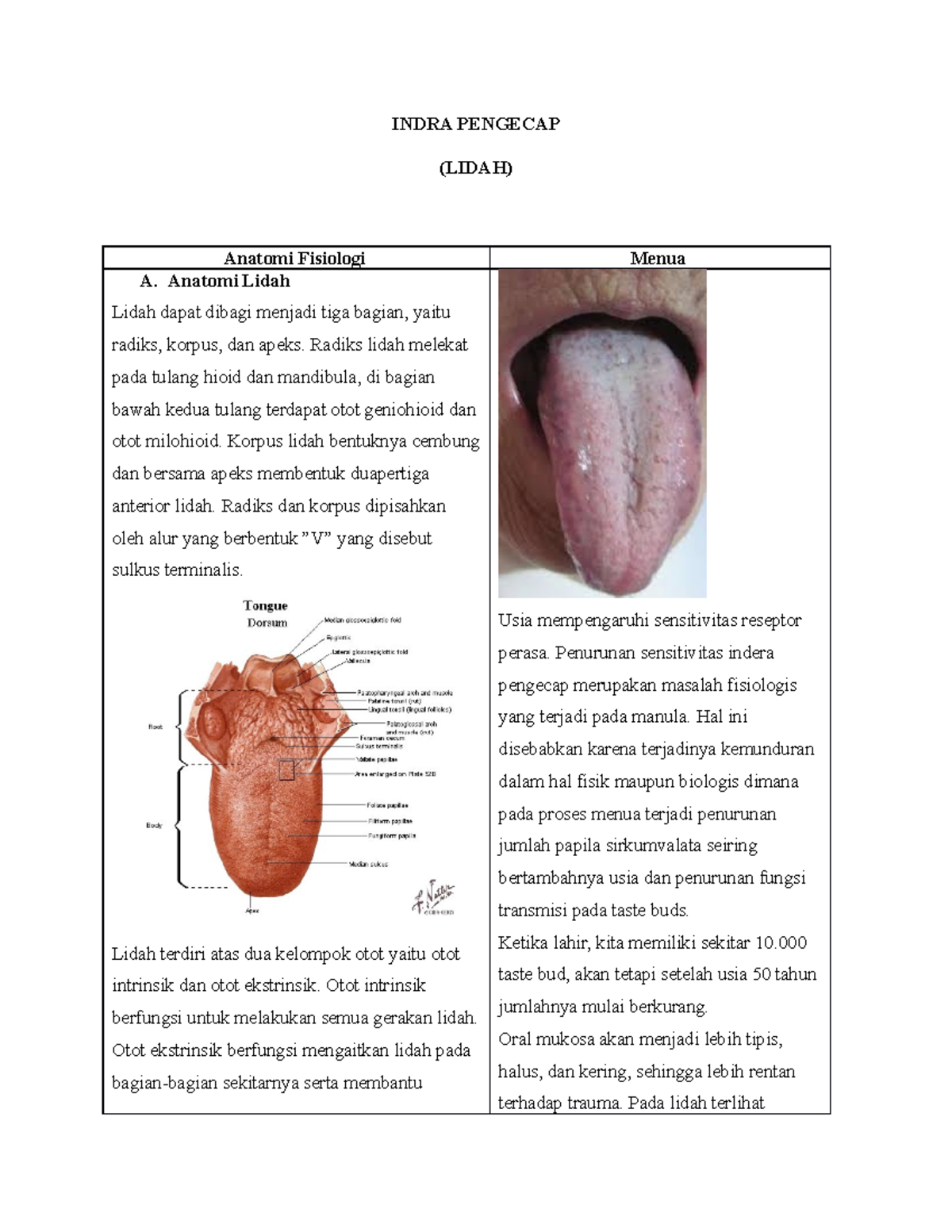 Indra Pengecap - Lecture Notes on Tongue Anatomy & Physiology - Studocu