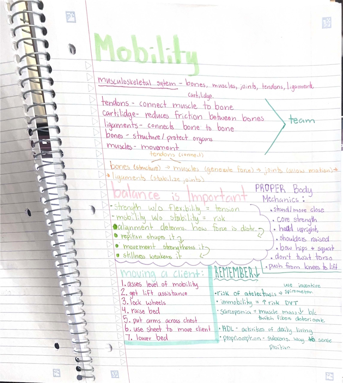 Scanned Document 14 - Mobility Terms & Patient Moving Steps - Studocu