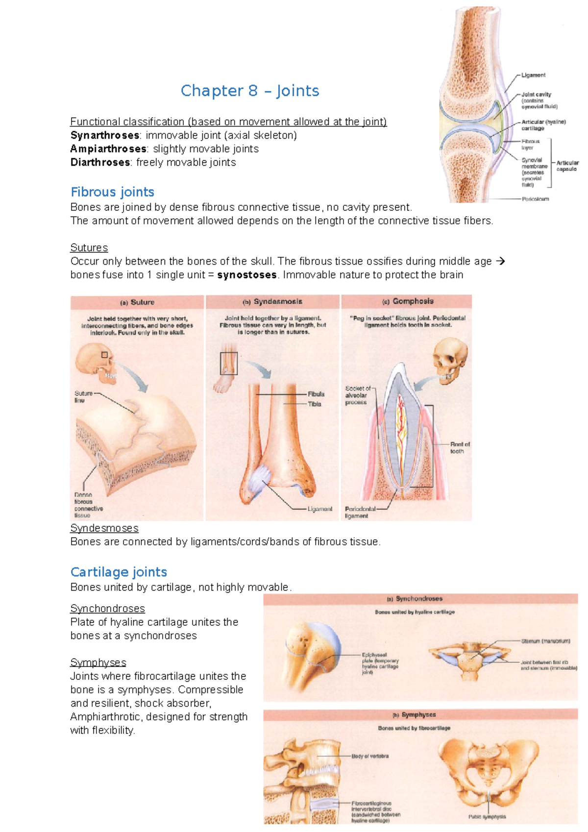 Summary of Joints: Chapter 8 Overview on Functional Classification ...