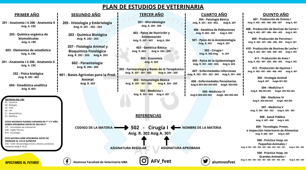 PLAN DE ESTUDIOS VETERINARIA 1ER AÑO - CBC 203, 204, 205, 206 - Studocu