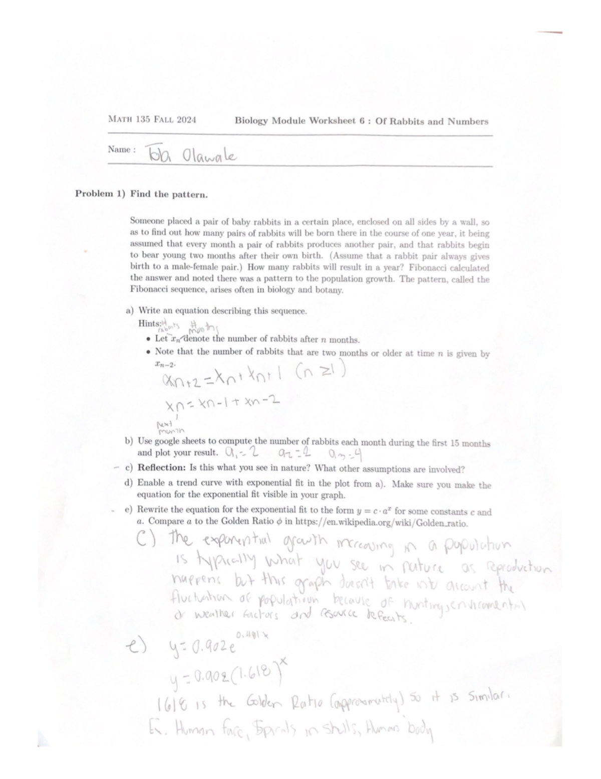 Rabbits - Biology module wskt - MATH 135 FALL 2024 Biology Module ...