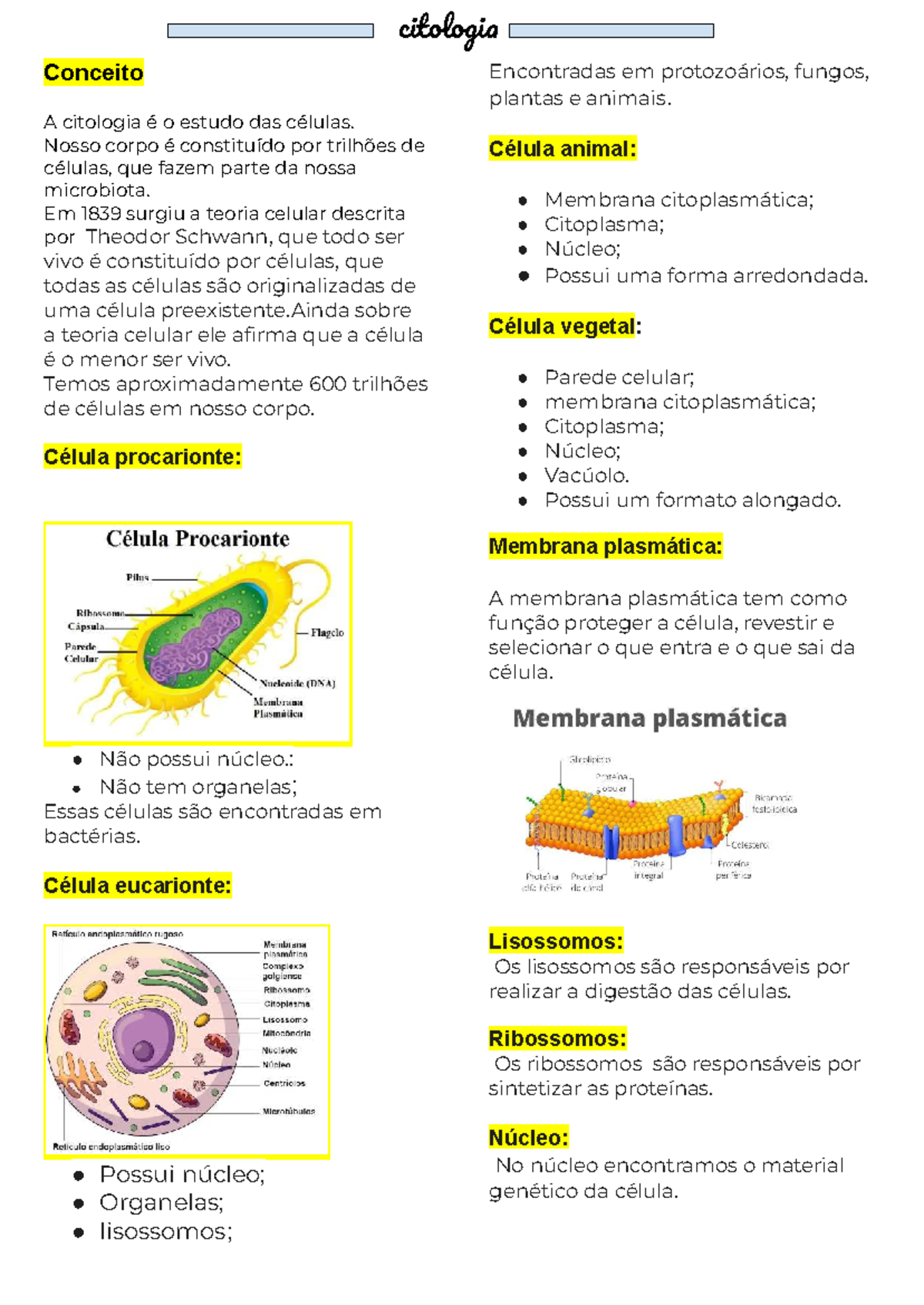 Citologia: Resumo Completo para o ENEM - Studocu