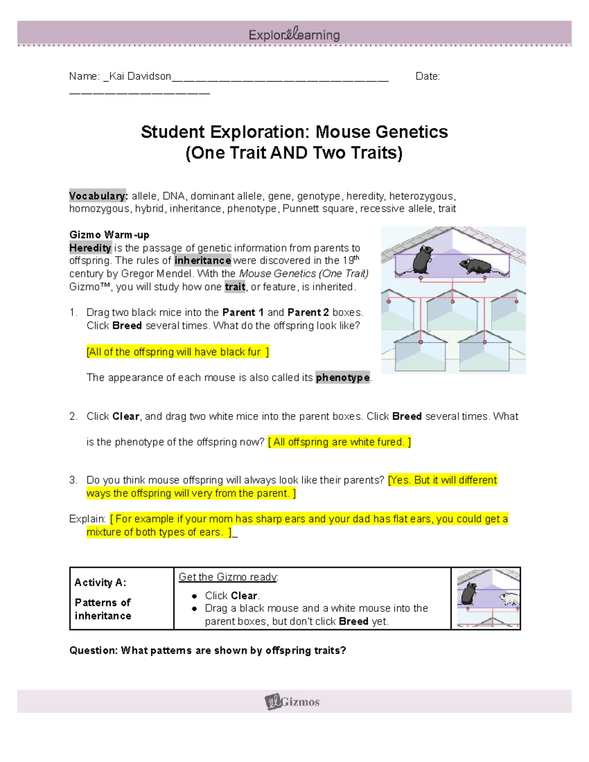 語学・辞書・学習参考書 Morphological Mouse Phenotyping Mouse Phenotypes: A Handbook of Mutation Analysis