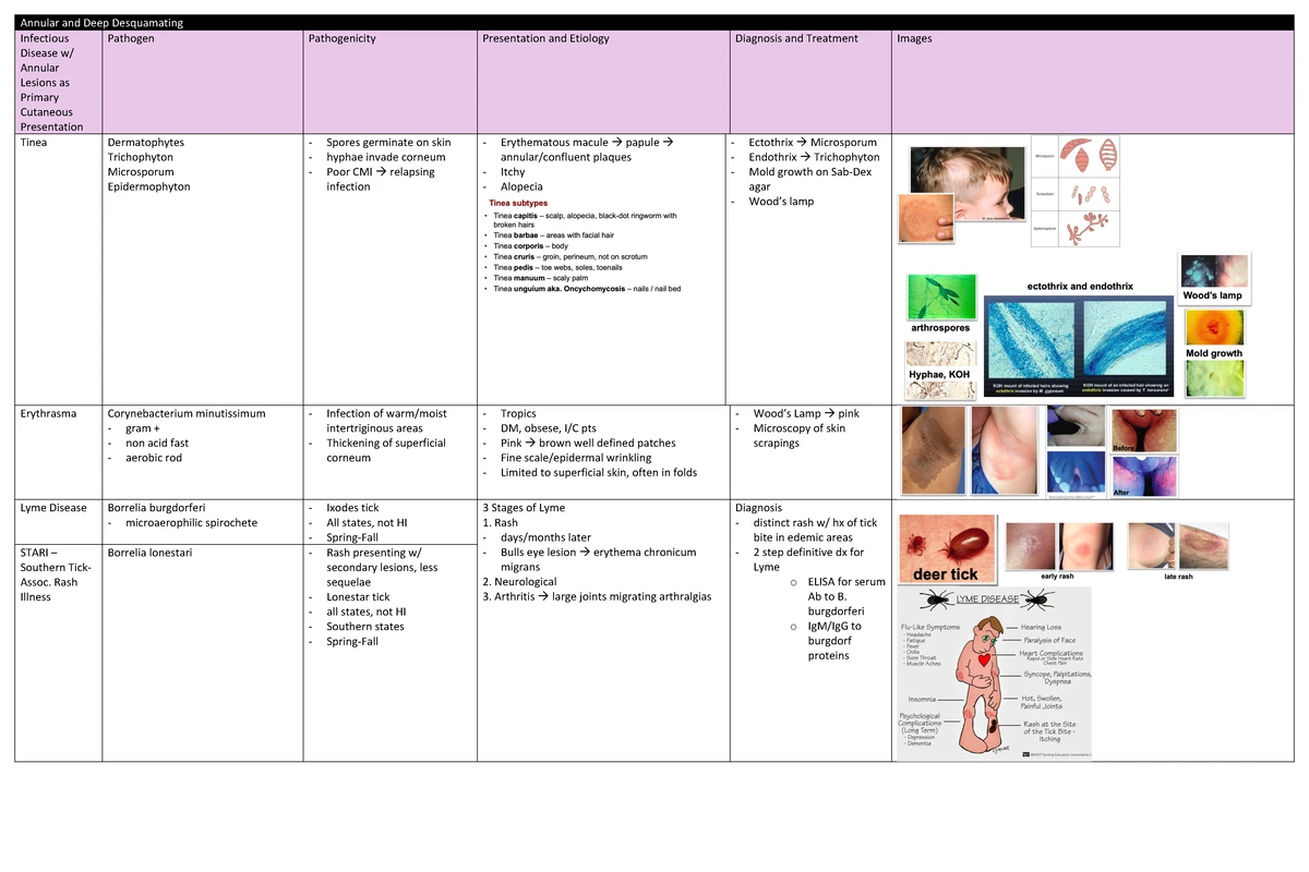 Comprehensive Overview of Medical Disorders and Treatments ...