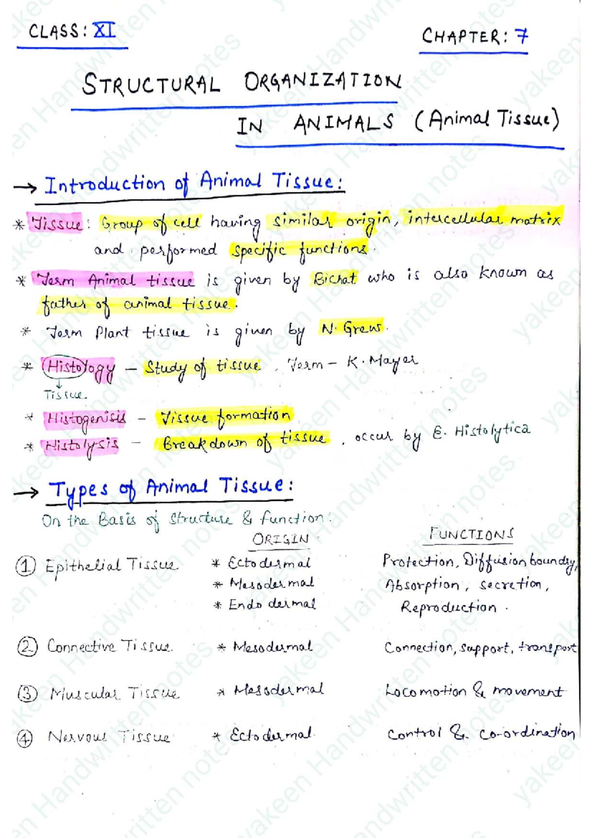 CLASS: XI CHAPTER 7 - Structural Organization in Animals (Animal Tissue ...