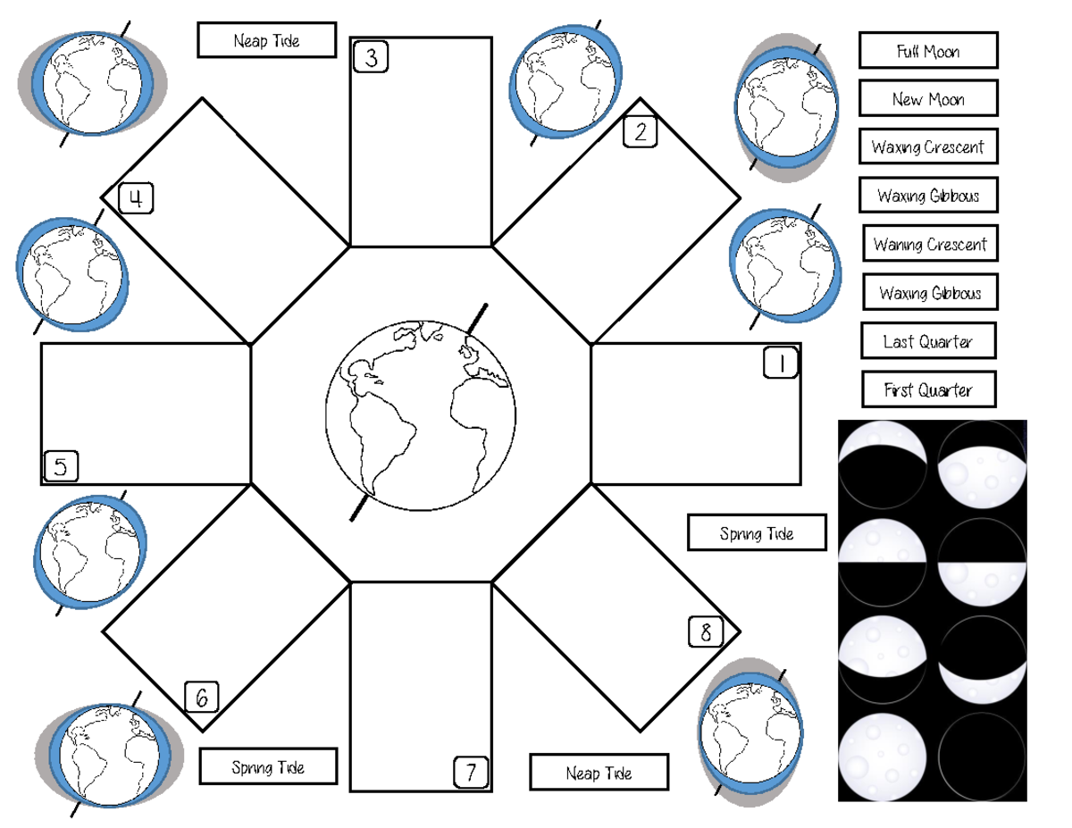 Tides and Their Phases: A Foldable Guide for Science Class - Studocu