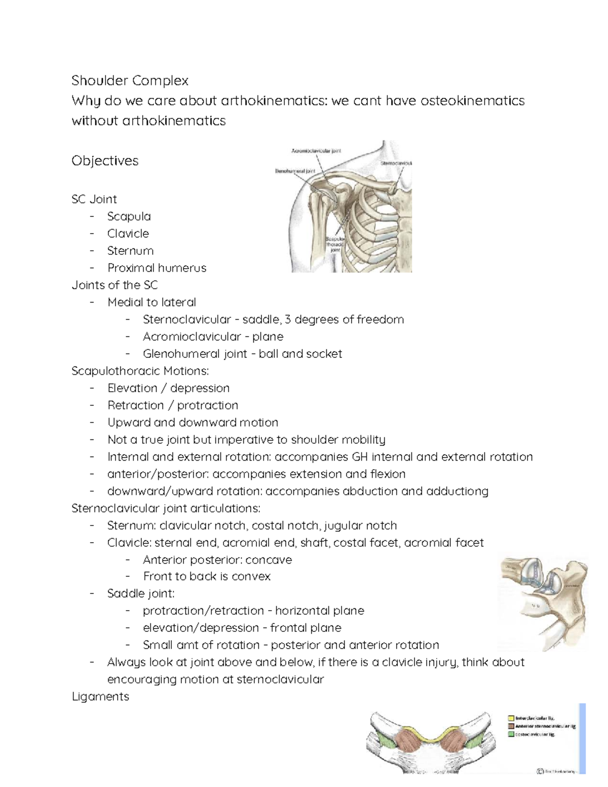 Shoulder Complex SC: Arthrokinematics & Functional Anatomy Overview ...
