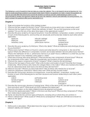 Human Anatomy Exam Study Guide: Units 1-5 Key Concepts & Objectives ...