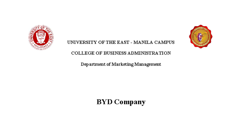 BMM Marketing Management: D Company Marketing Plan Overview - Studocu
