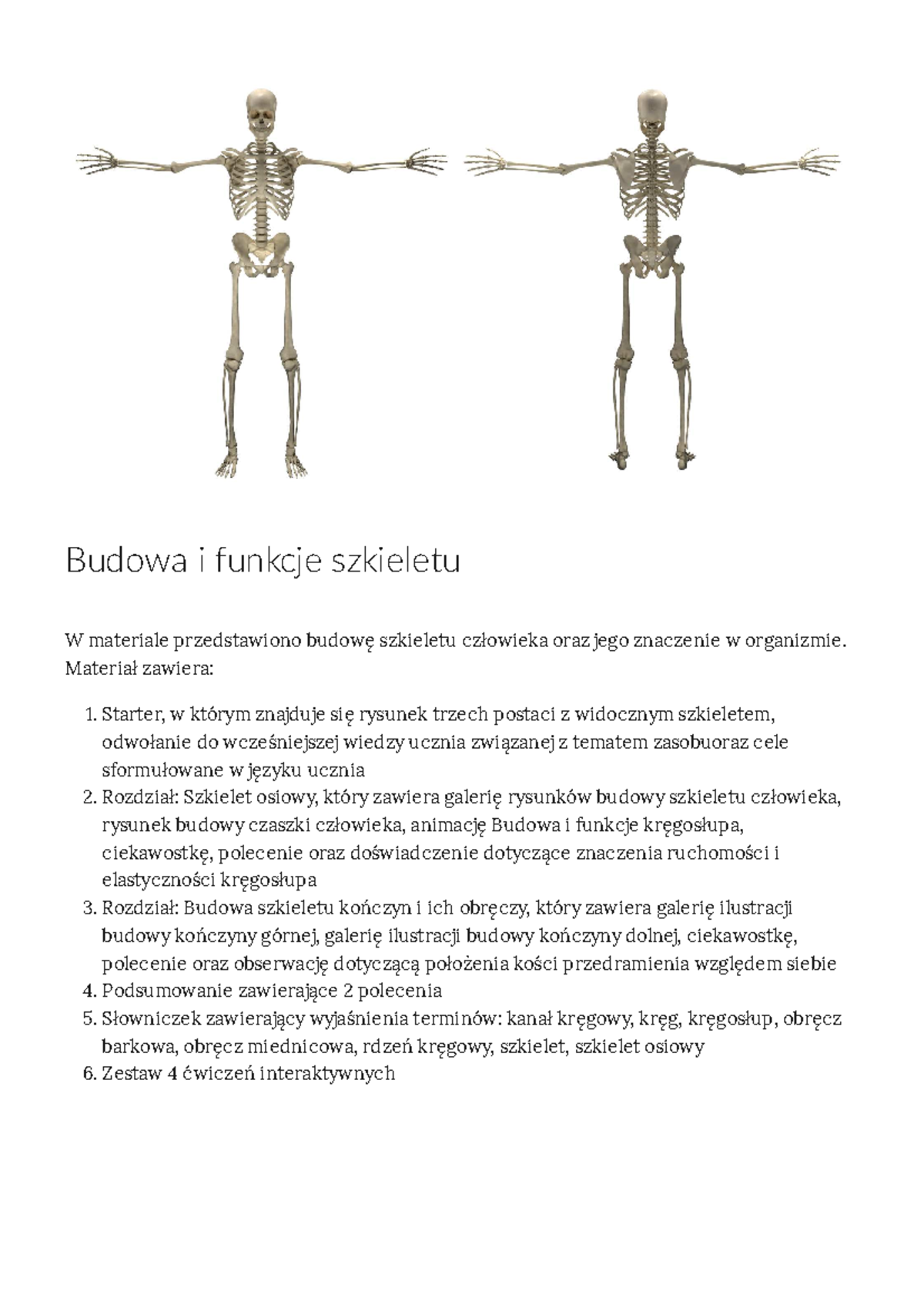 Budowa i funkcje szkieletu - Materiał zawiera: Starter, w którym