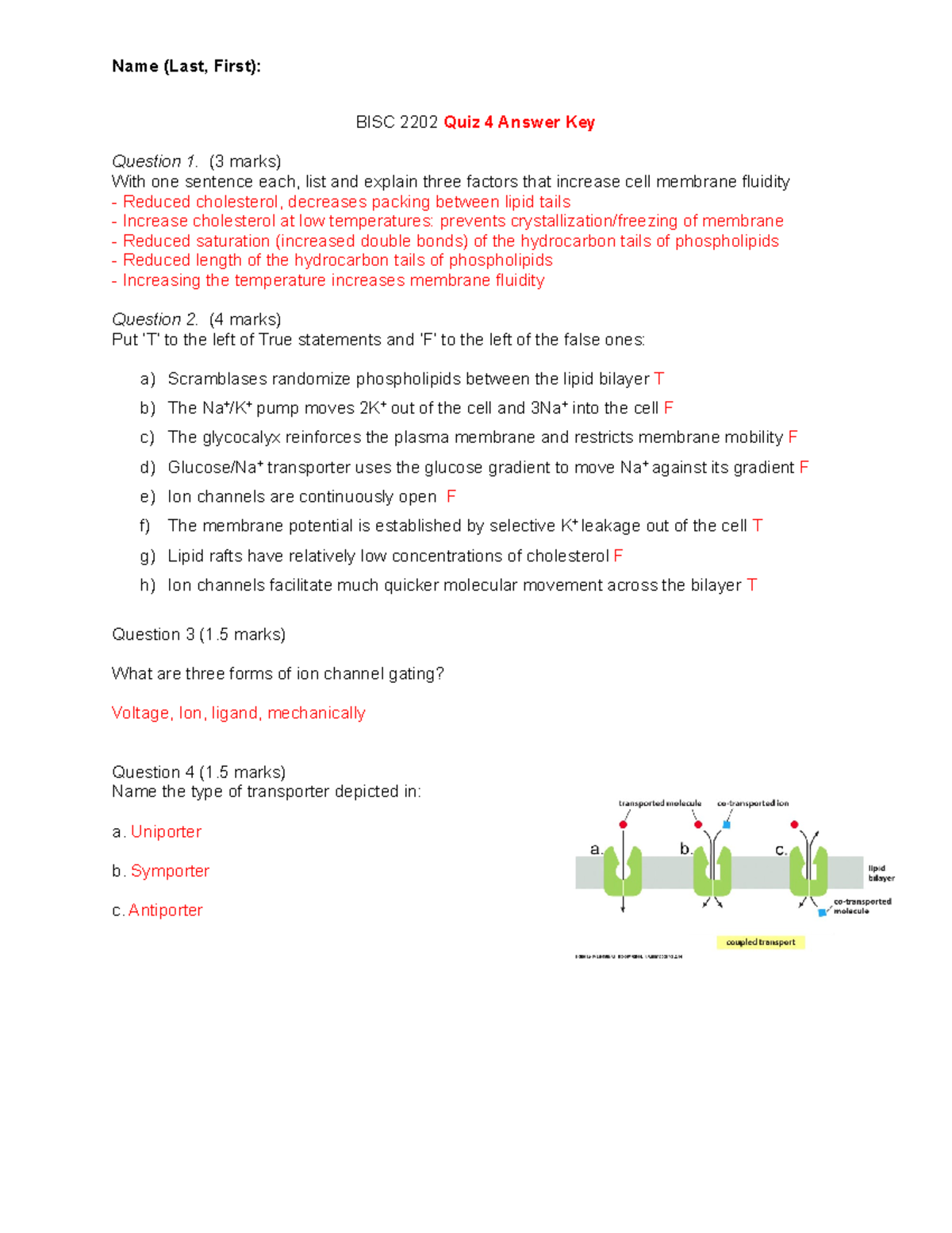 Quiz 4 answer key - Name (Last, First): BISC 2202 Quiz 4 Answer Key ...