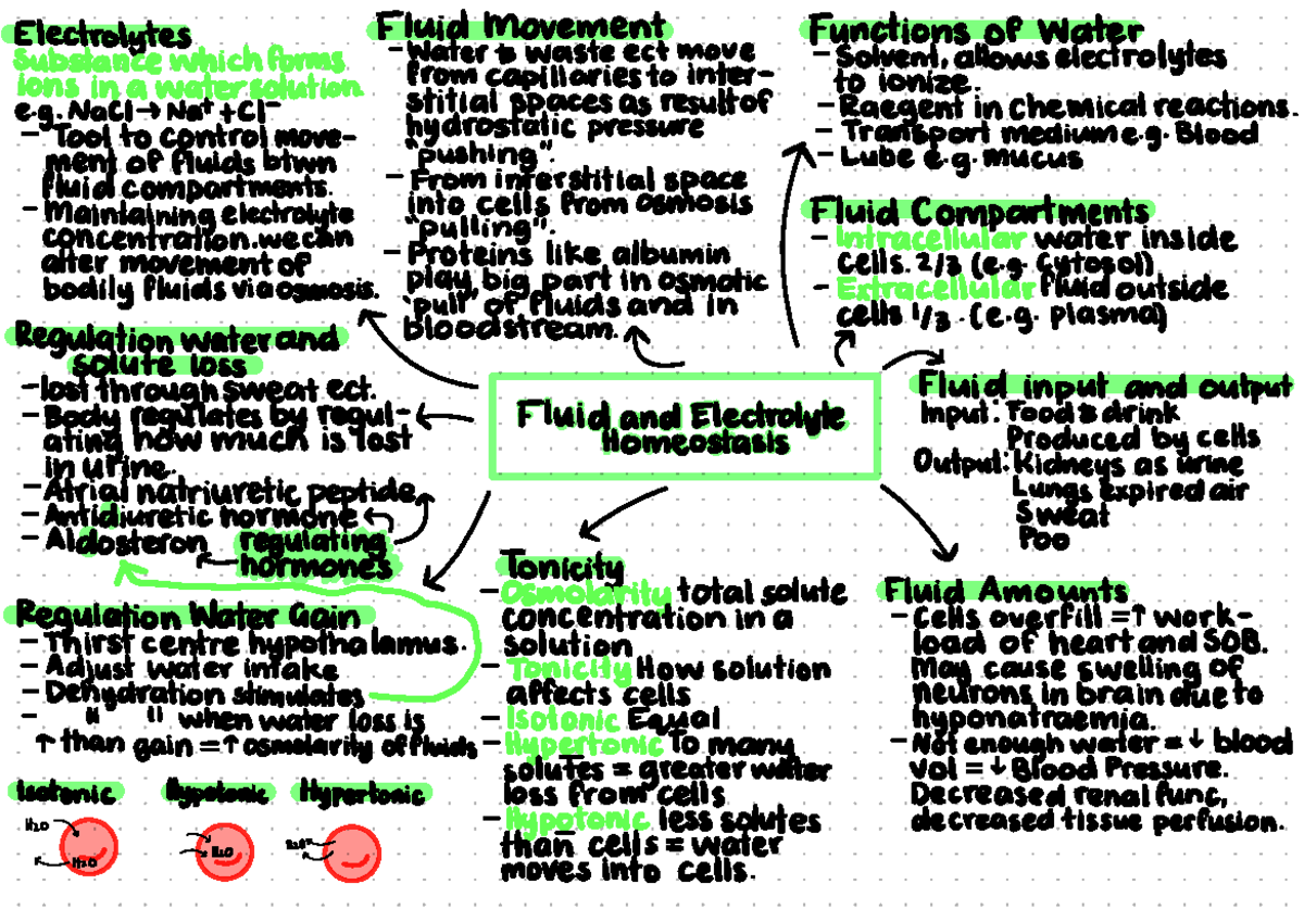 Fluid and Electrolyte Balance: Key Concepts and Applications - Studocu