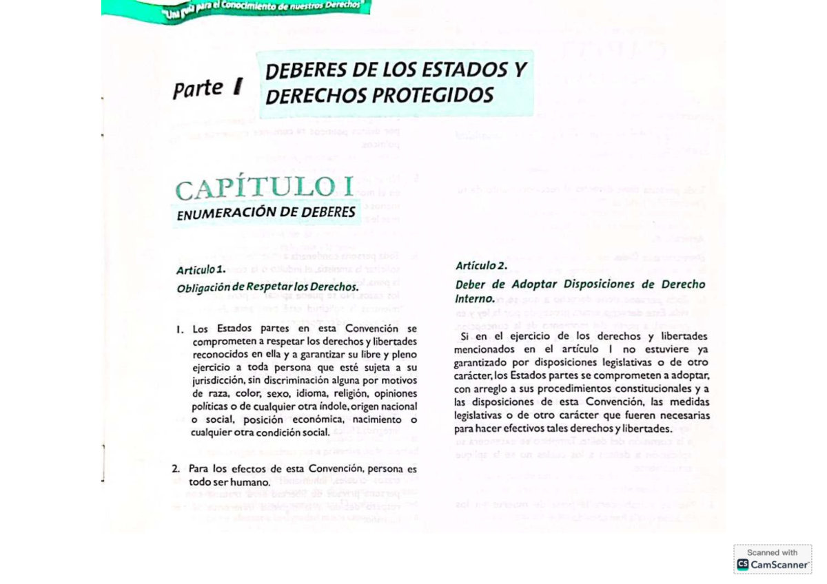Deberes de los Estados y Derechos Protegidos: Parte I y II - Studocu