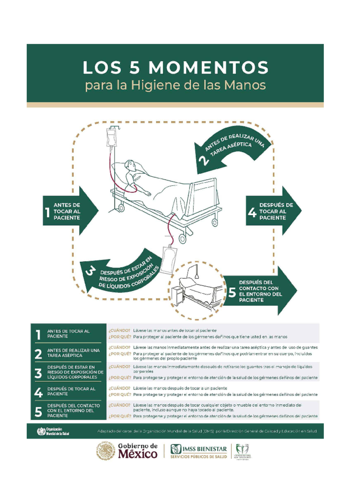 Los 5 Momentos de Higiene de Manos: Protocolo OMS para Salud - Studocu
