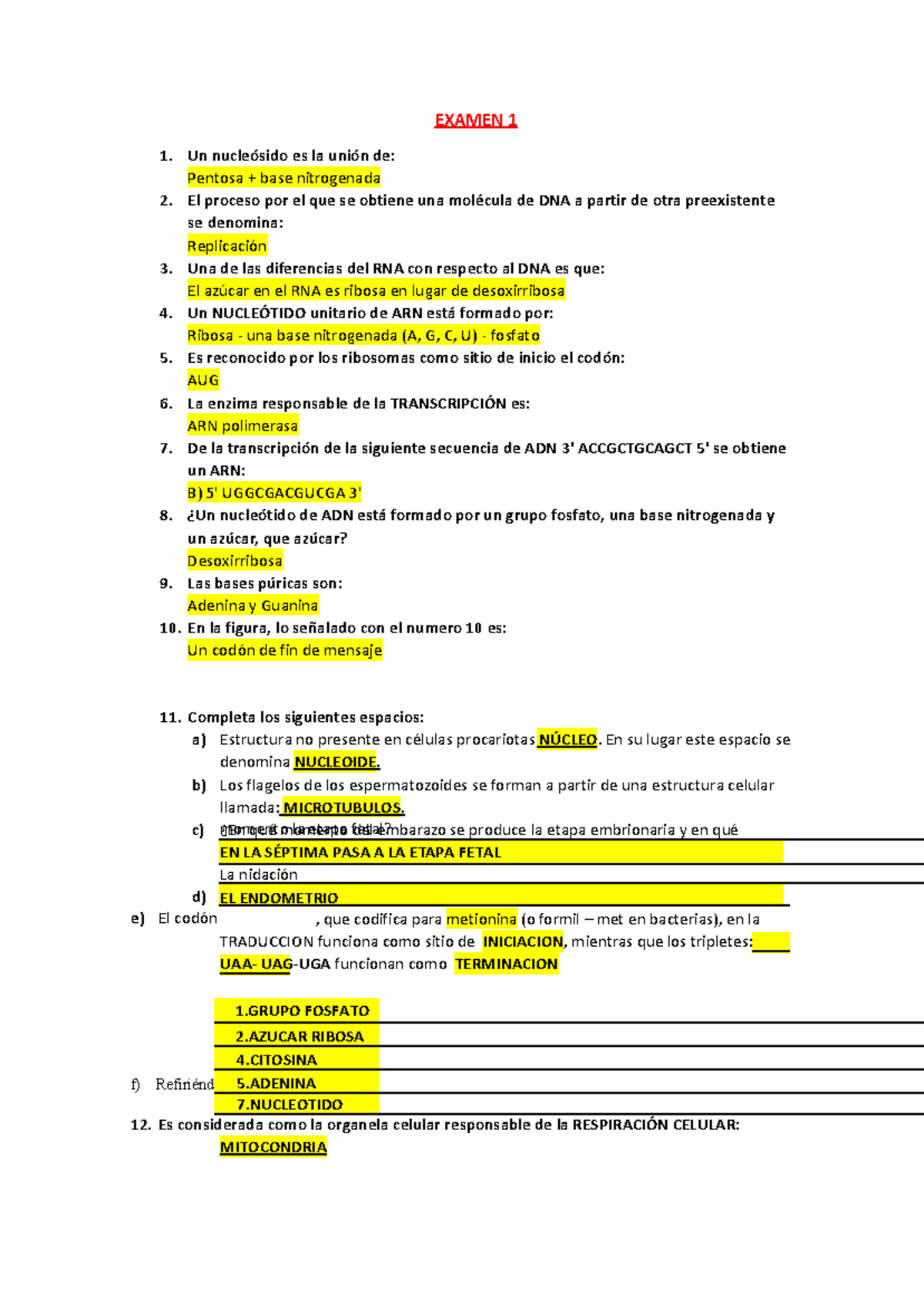 Examen 1 y 2 de Biología Molecular: Procesos Clave en DNA y RNA - Document Preview