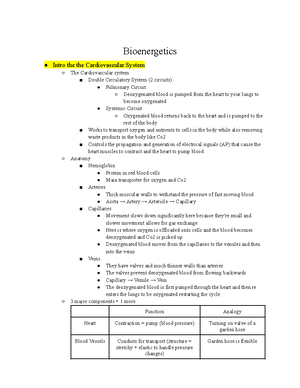 Comprehensive Renal Physiology Guide: Functions & Mechanisms ...