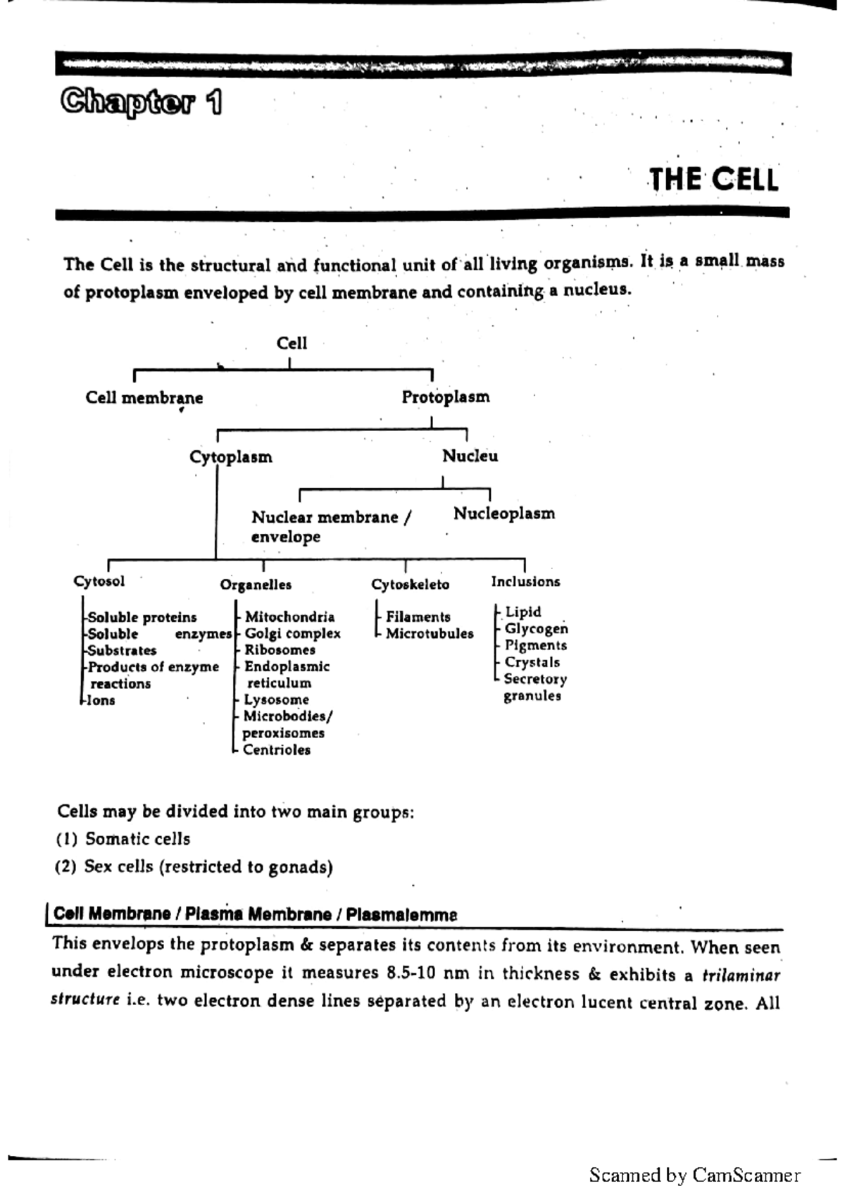 HIST101: Chapter 1 - The Cell: Structure and Functions Explained - Studocu