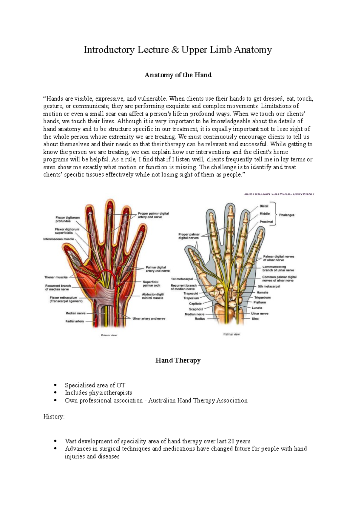 Introductory Lecture 206 - When clients use their hands to get dressed ...