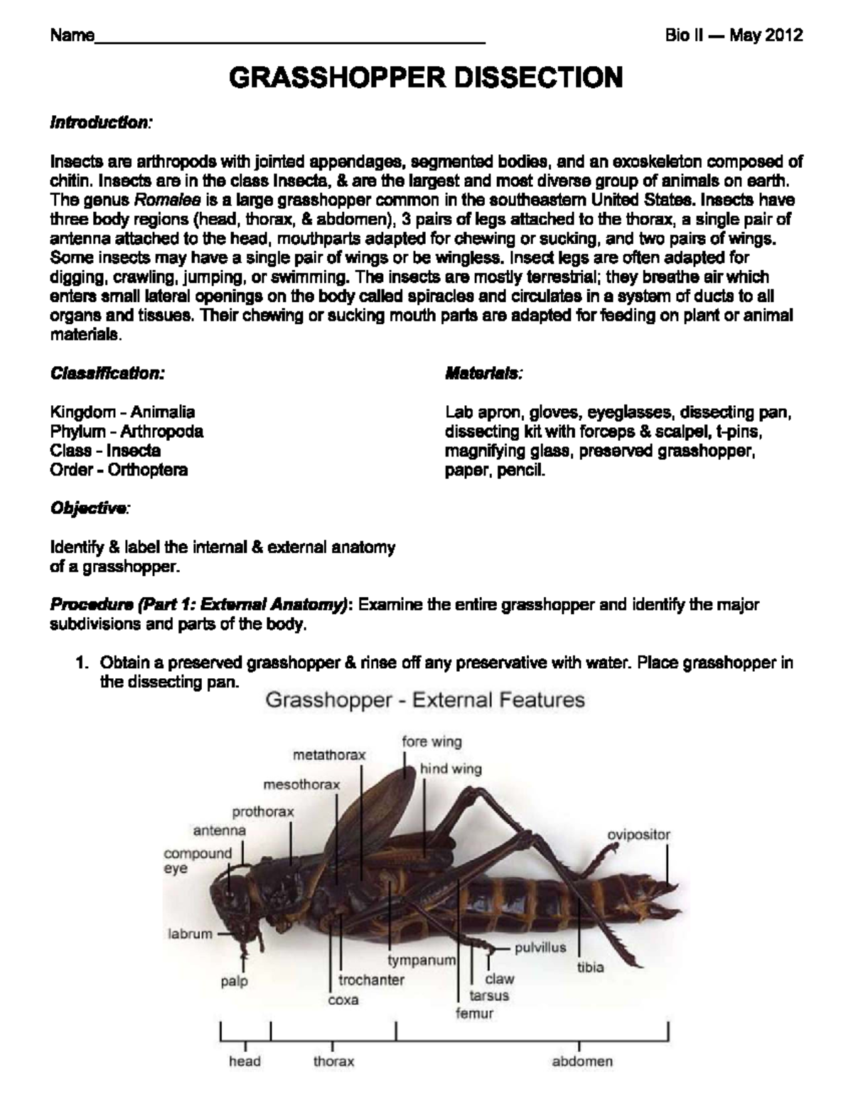 Grasshopper Dissection Lab Report - GRASSHOPPER 101 - Studocu