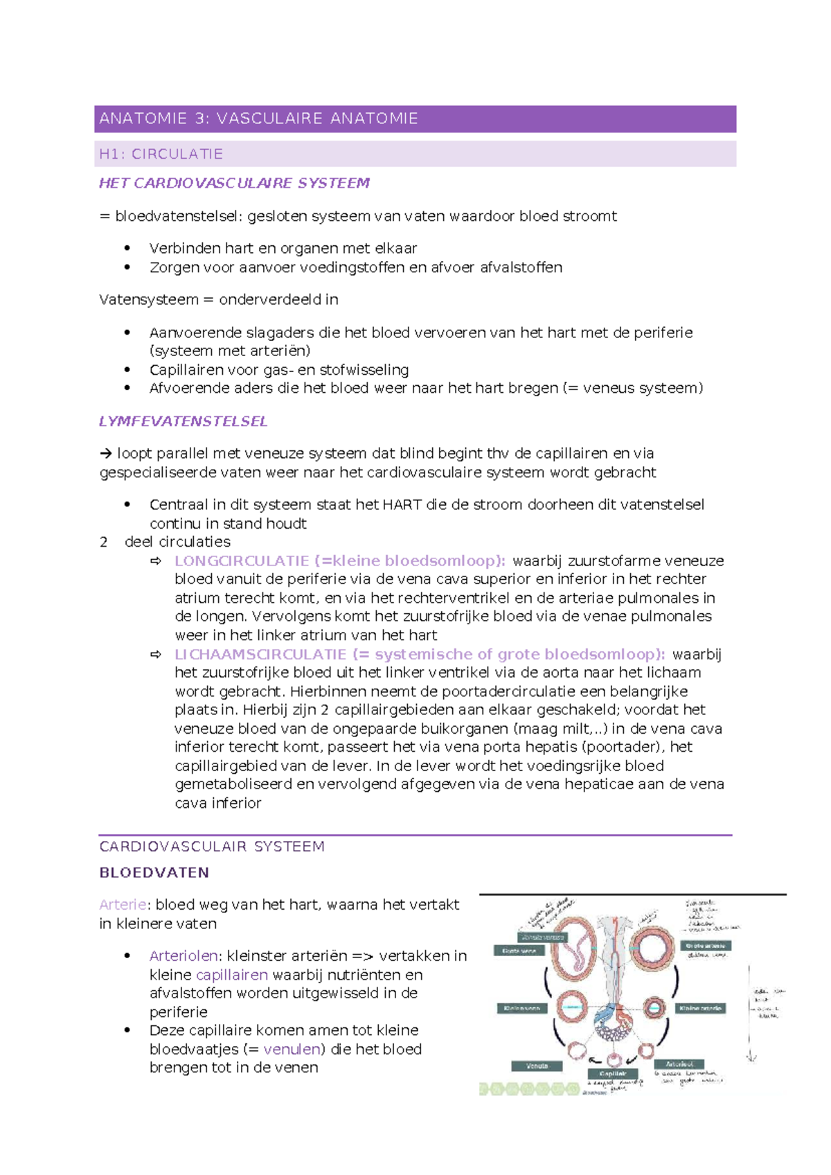 samenvatting-anatomie-3-vascularisatie-en-cardiovasculair-systeem