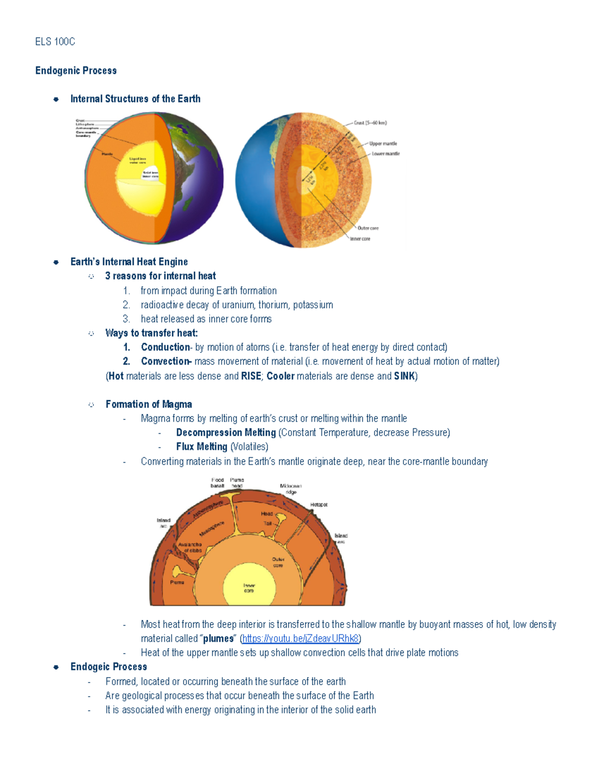 (4) Endogenic Process - ELS 100C Endogenic Process Internal Structures ...