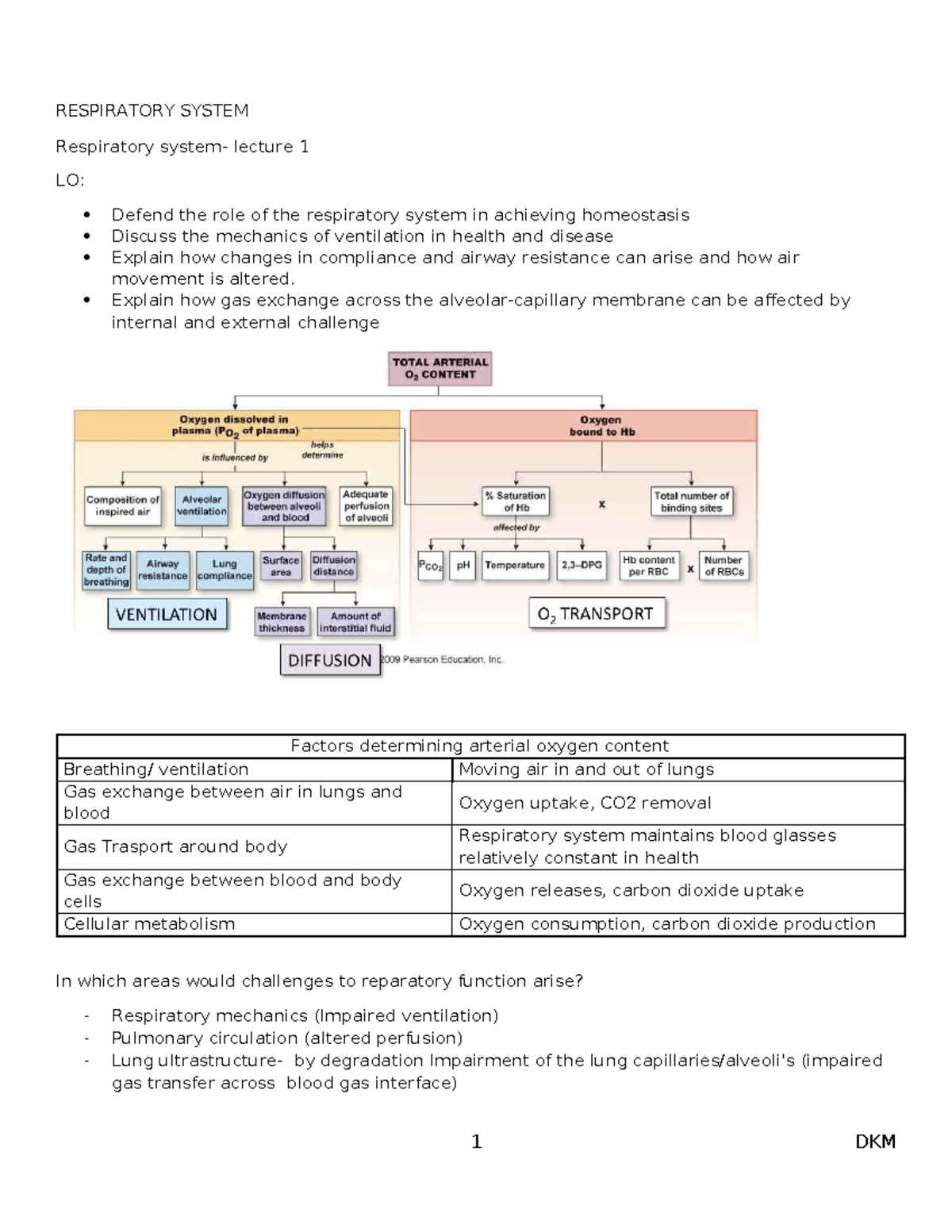 Respiratory System Lecture Notes: Key Concepts and Challenges - Studocu