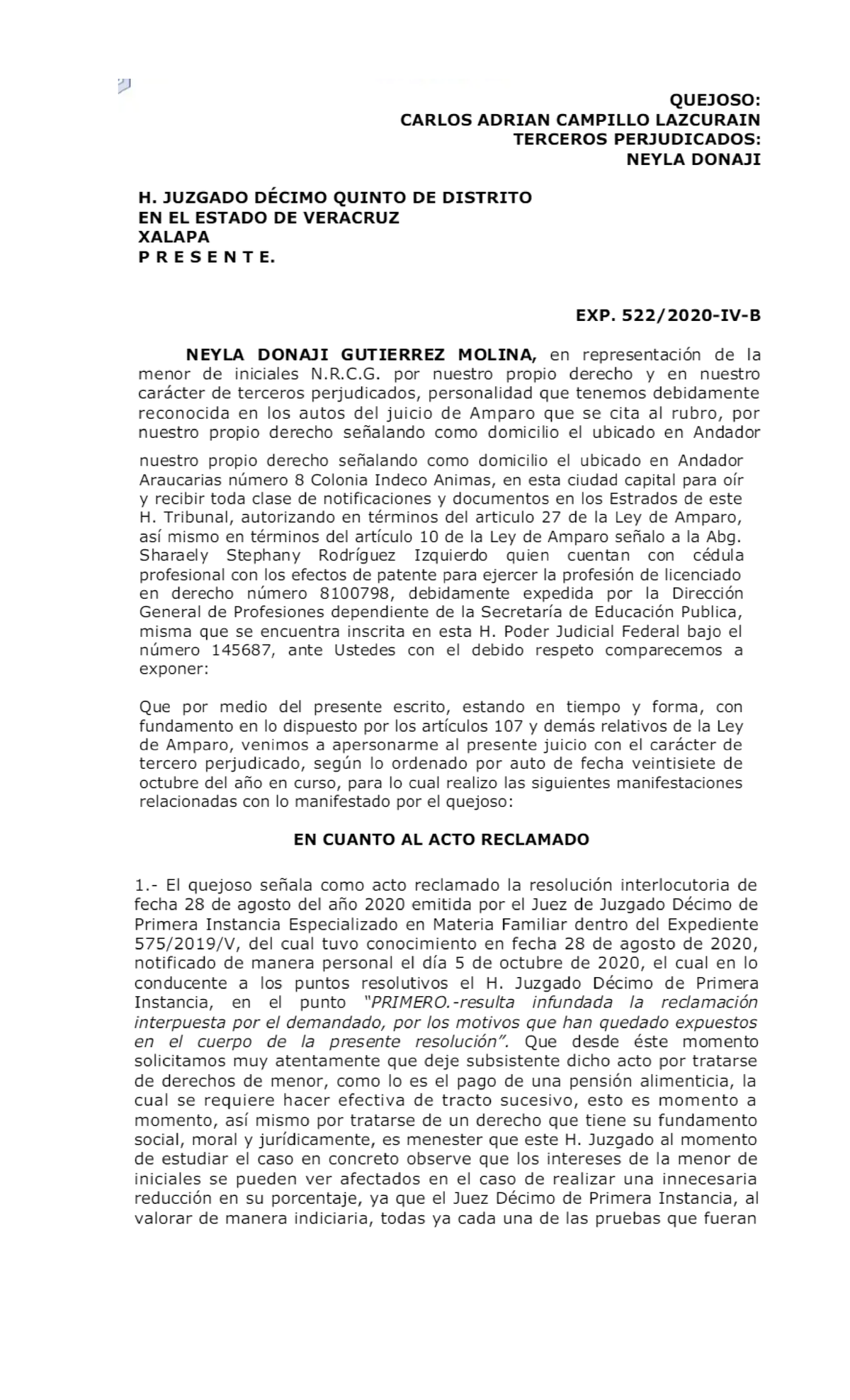 Amparo Indirecto: Caso de Pensión Alimenticia de Menor N.R.C. - Document Preview
