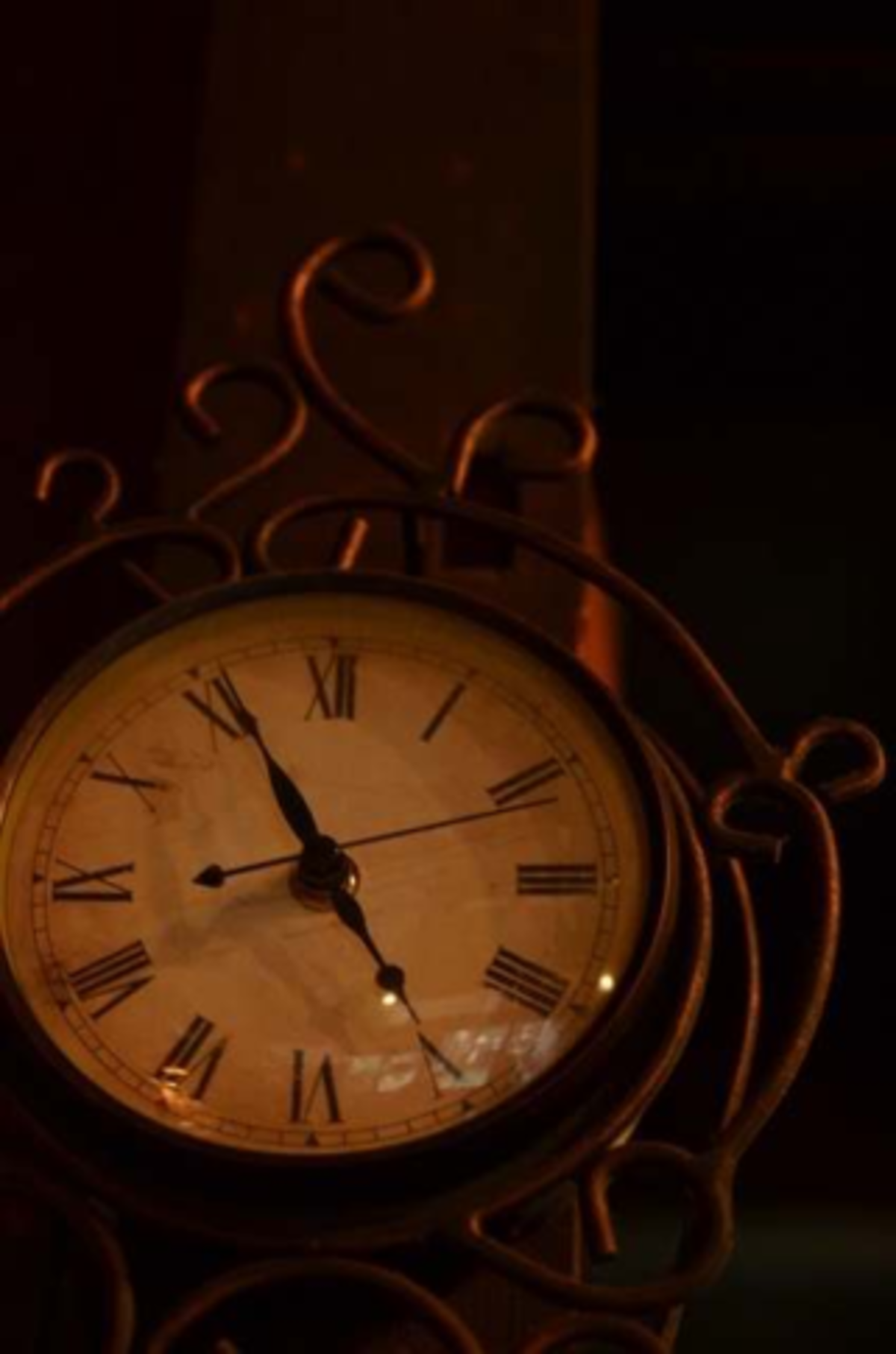 Taxonomy and Classification: Understanding Life's Diversity - Studocu