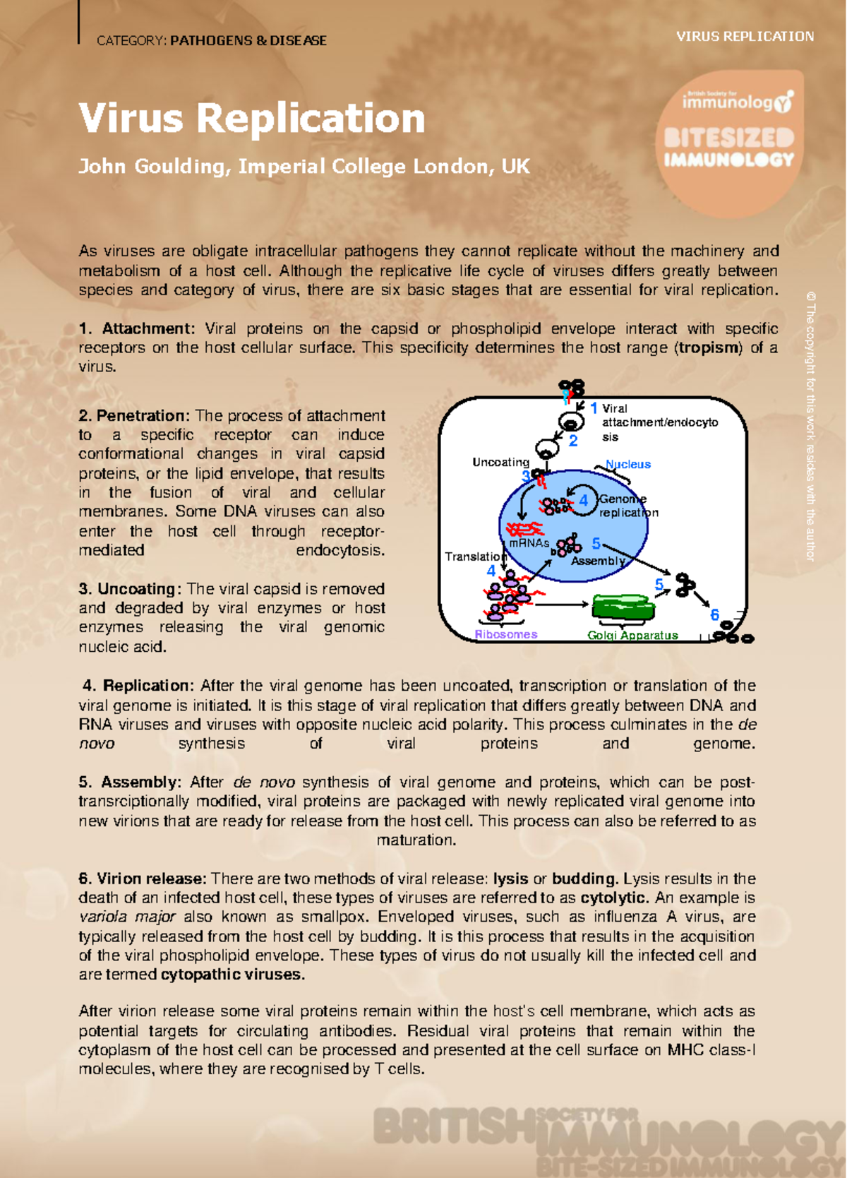Virus replication - Virology - CATEGORY: PATHOGENS & DISEASE Virus ...