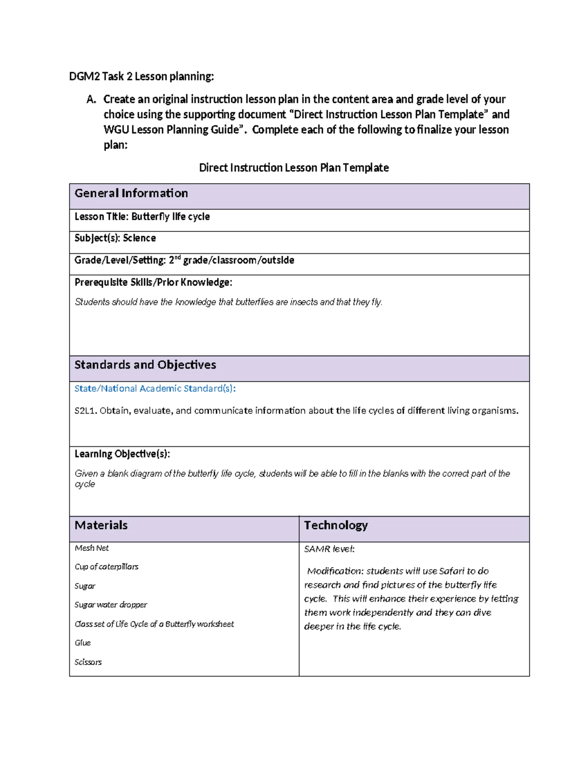 LSM3 Task 1 Language Arts Instruction Lesson Plan - Create an original ...