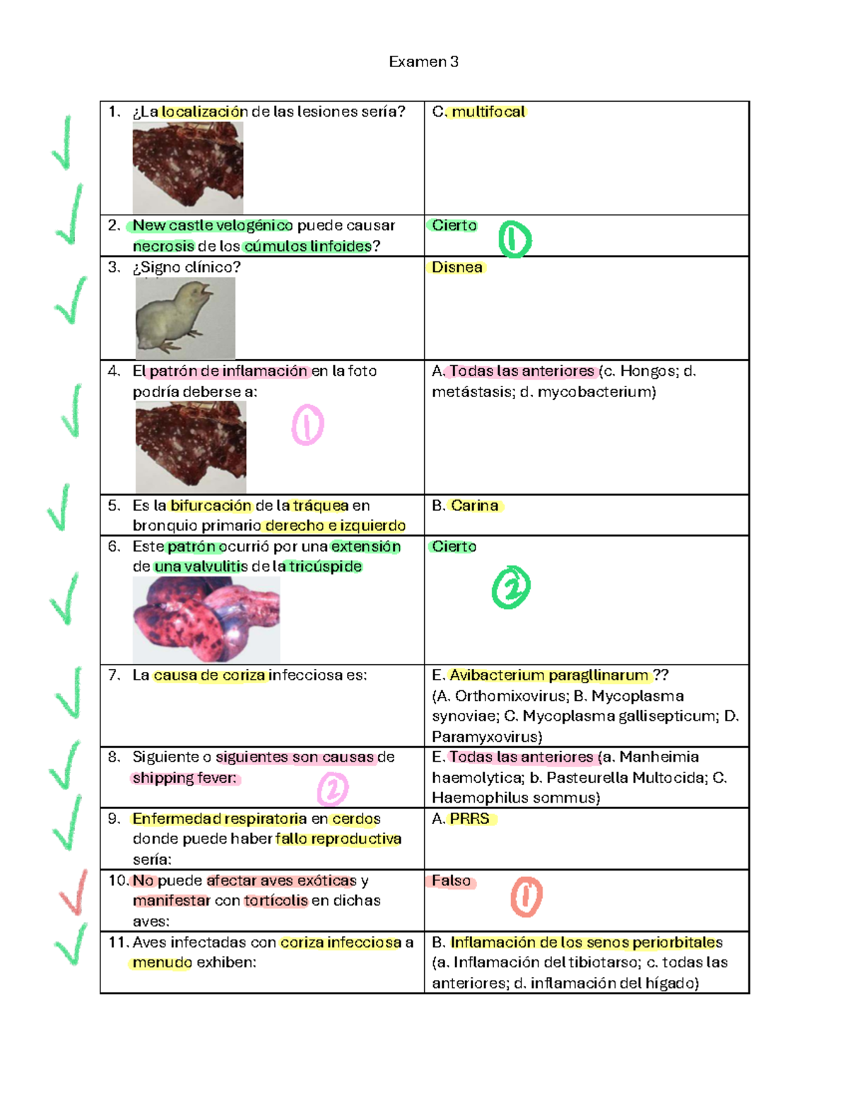 Examen 3: Enfermedades Respiratorias en Animales de Granja - Document Preview